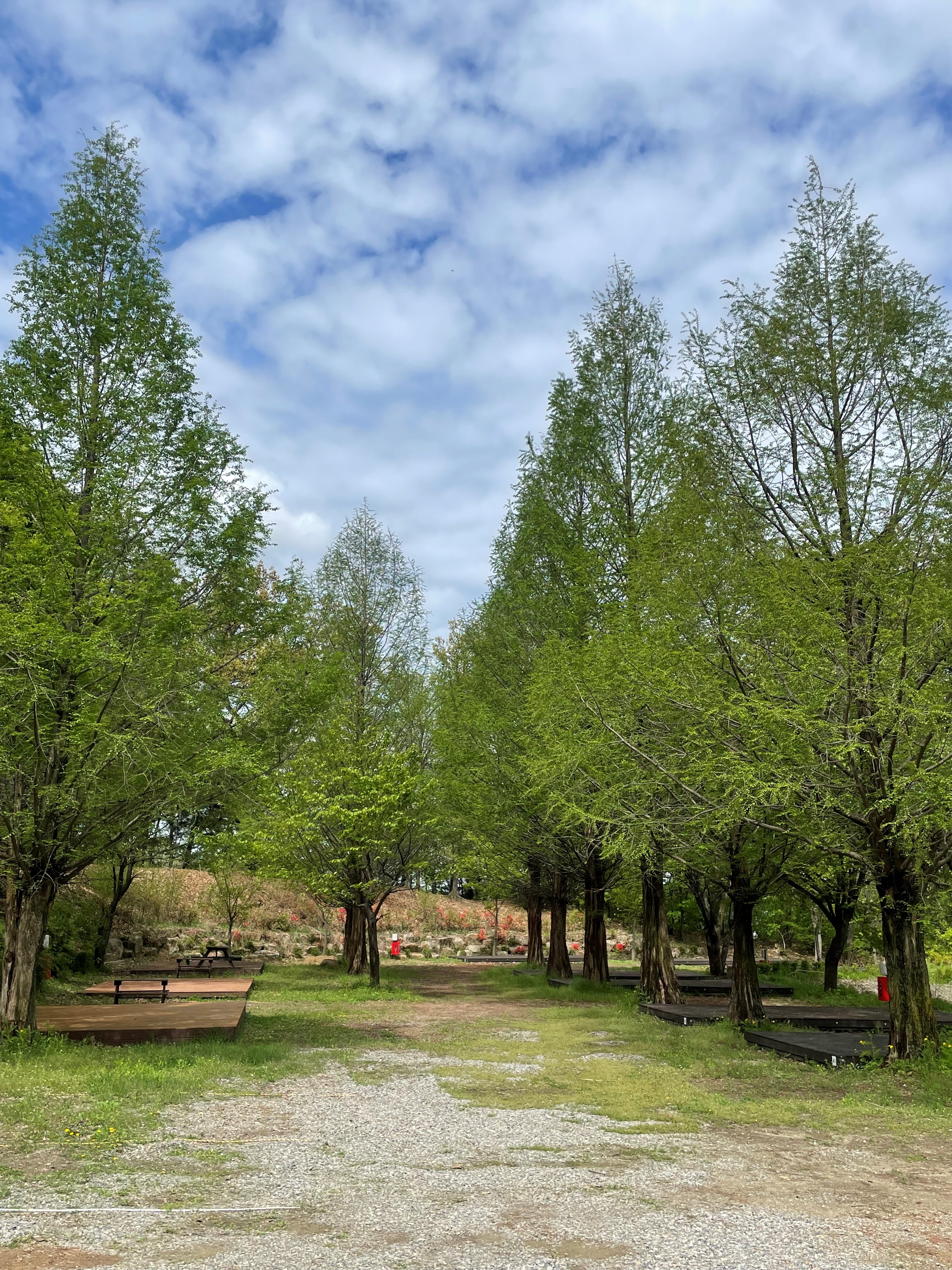 봄이오는 캠프 이미지