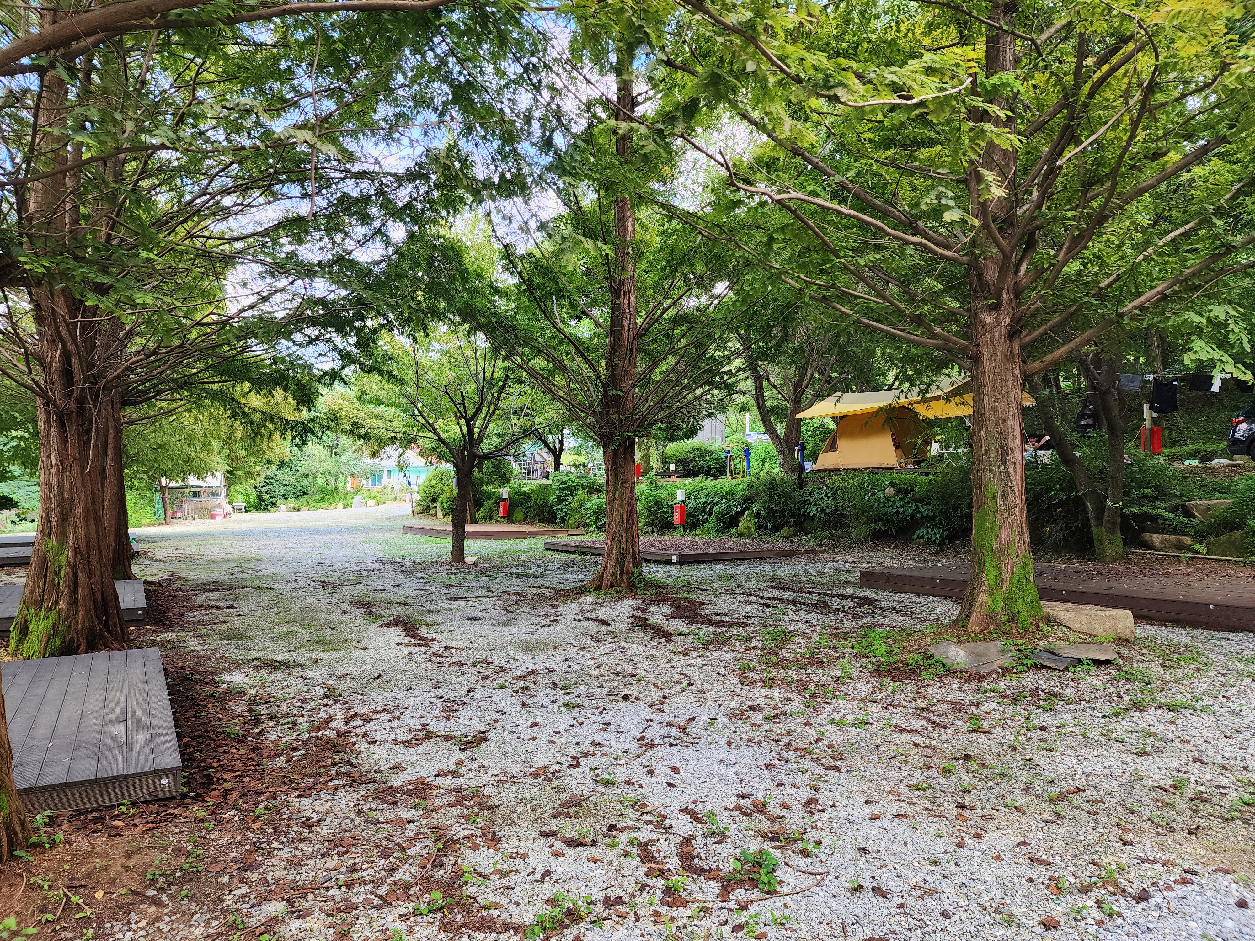 봄이오는 캠프 이미지