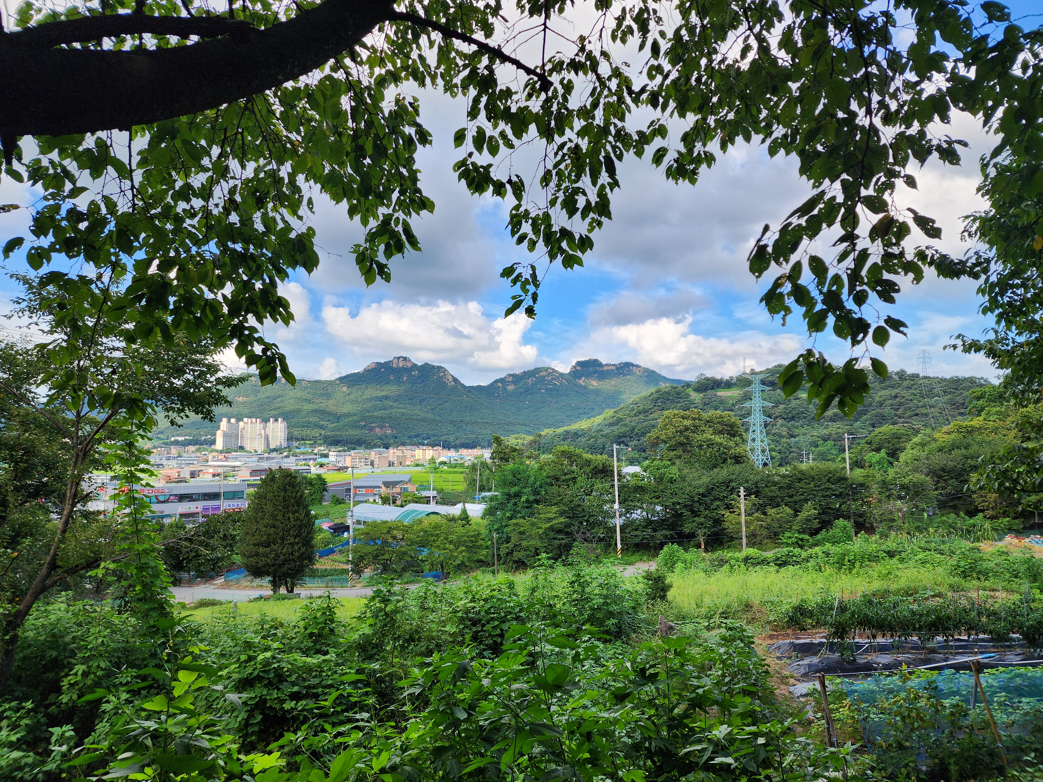 봄이오는 캠프 이미지