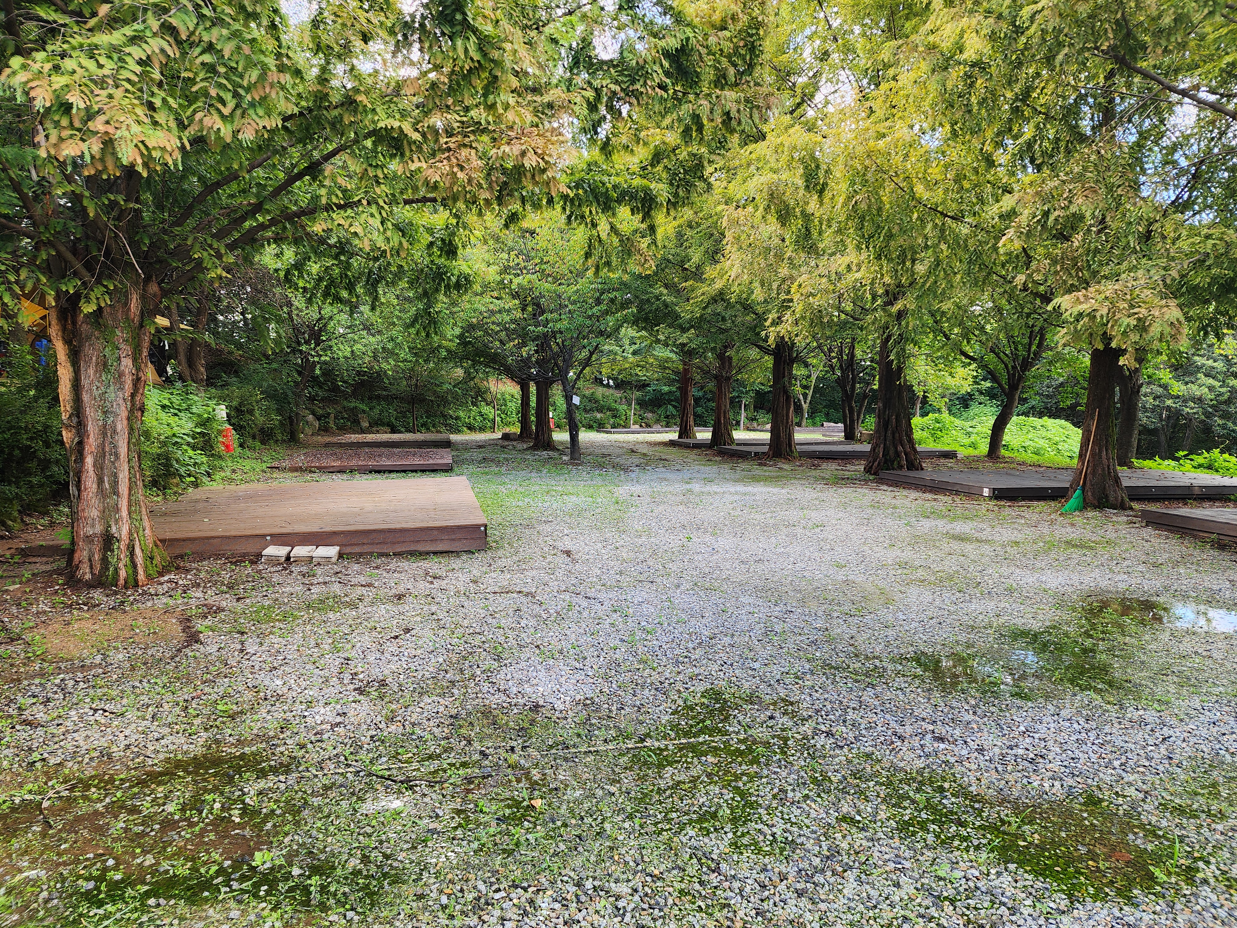 봄이오는 캠프 이미지