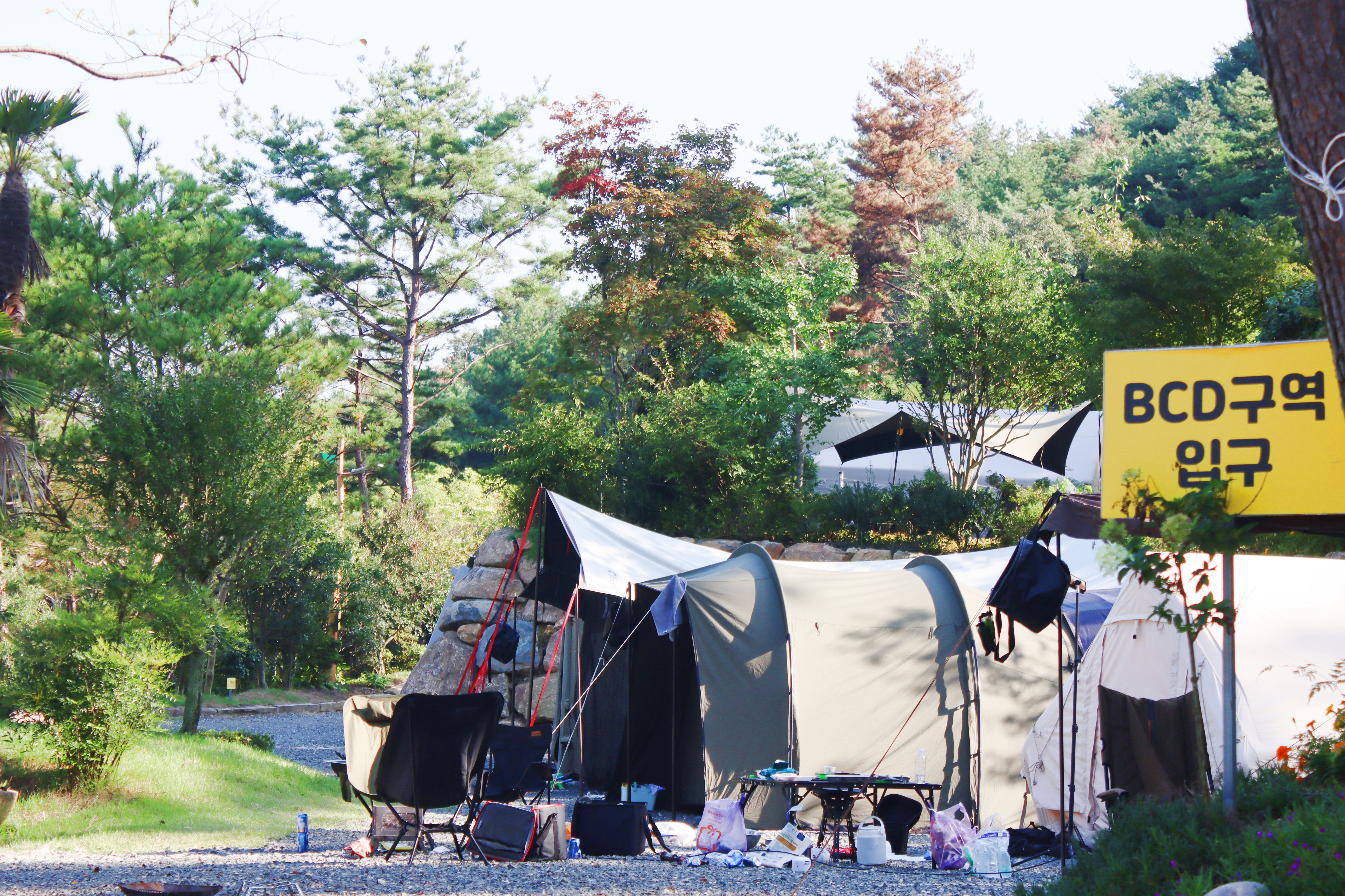 (주)러블레싱(LOVEBLEESING INC) 11번째 이미지