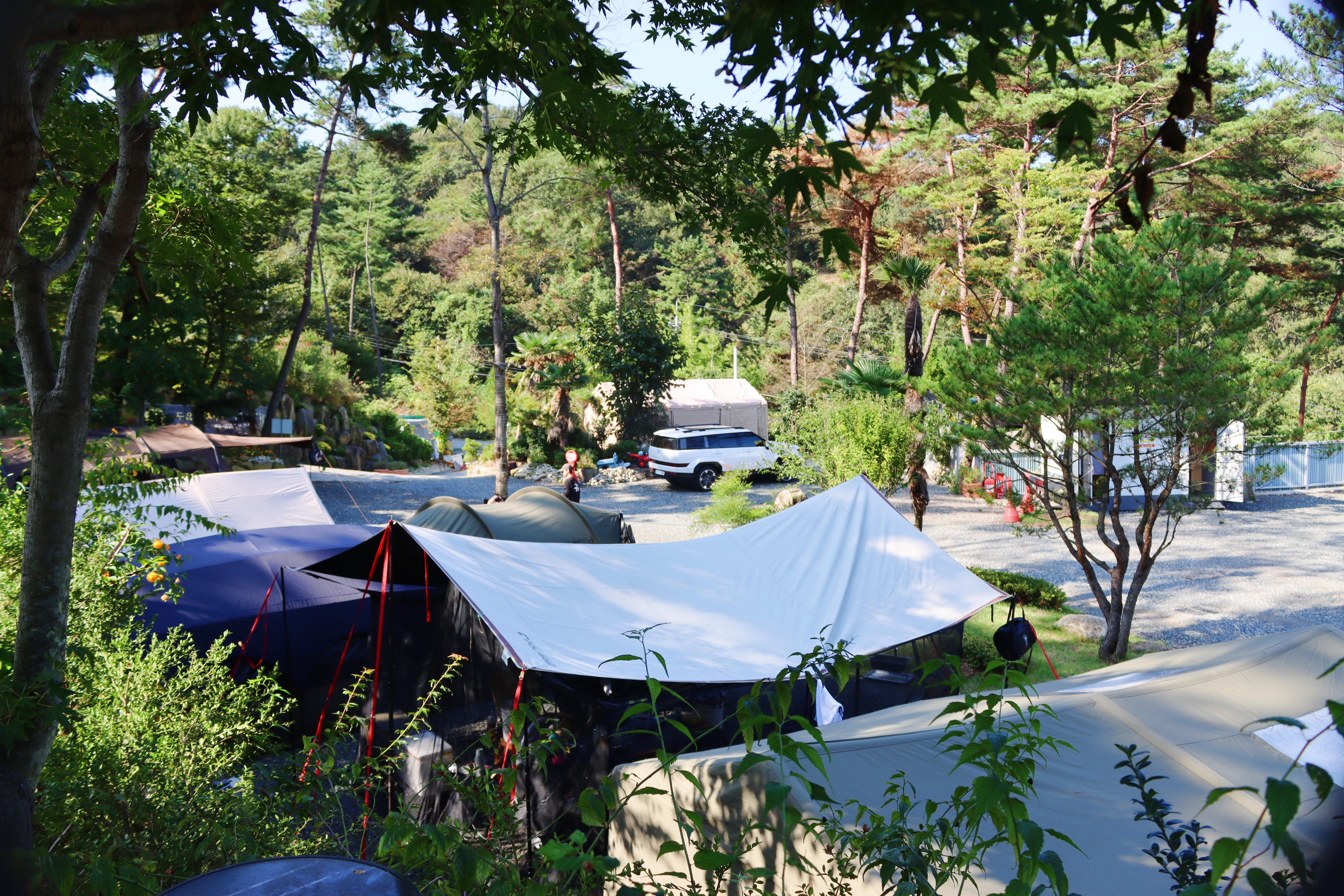 (주)러블레싱(LOVEBLEESING INC) 33번째 이미지