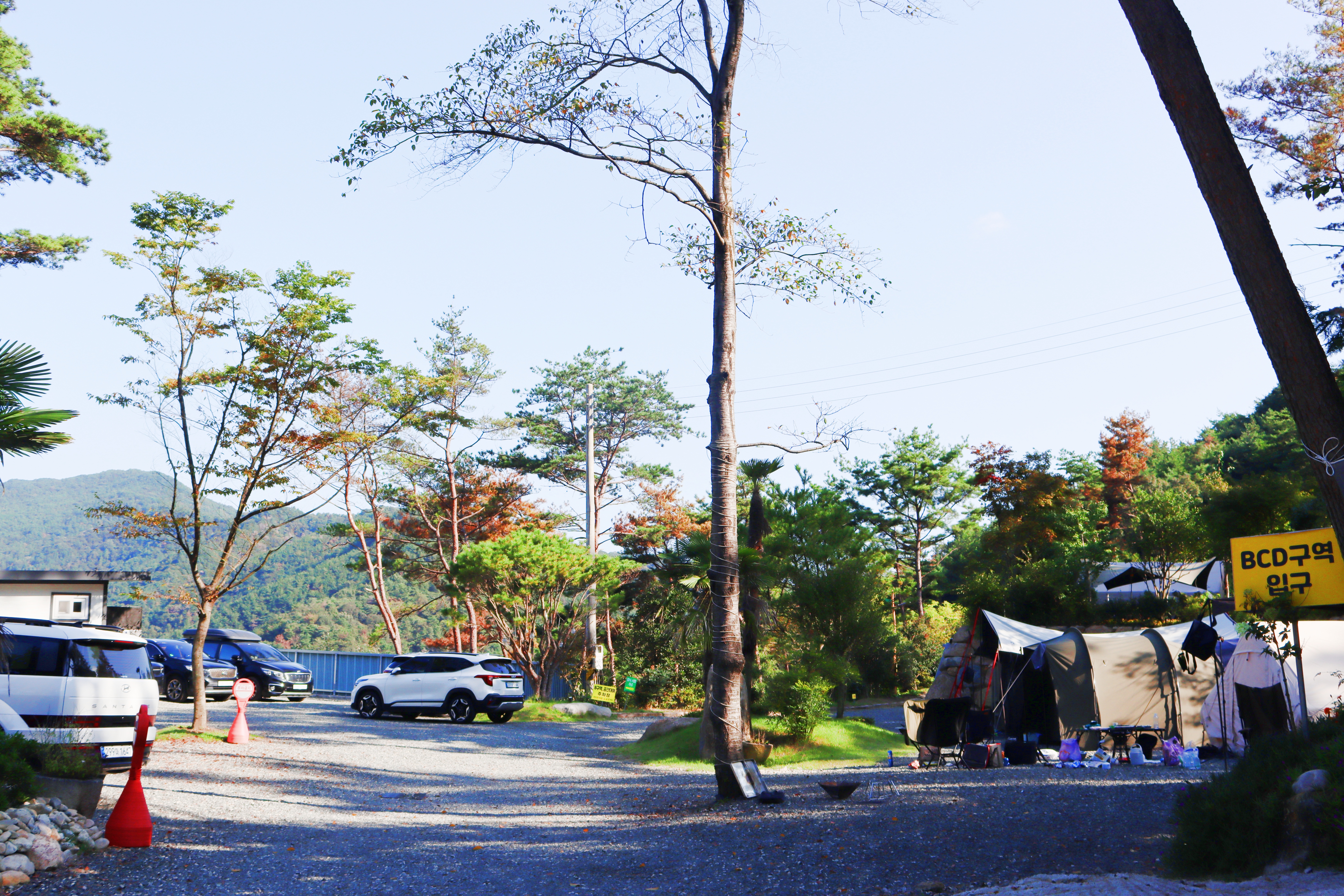 (주)러블레싱(LOVEBLEESING INC) 이미지