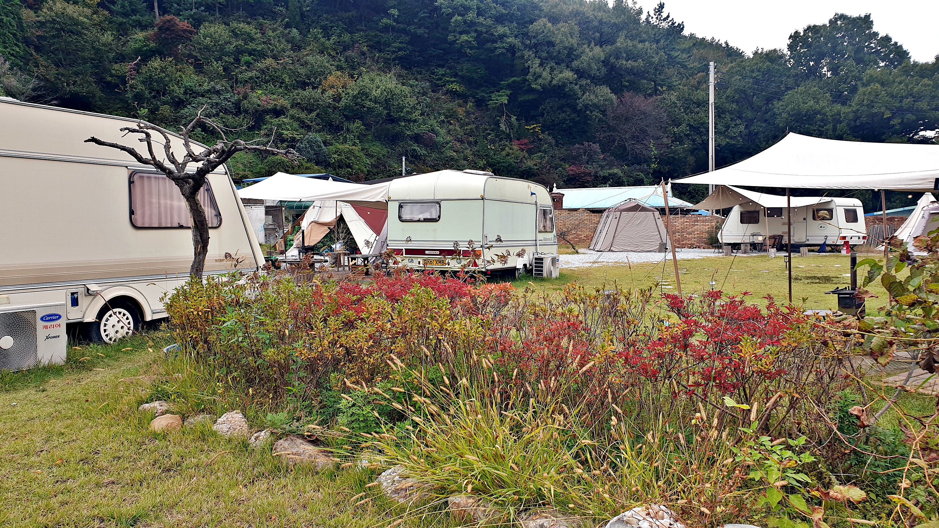 캠프히어 이미지