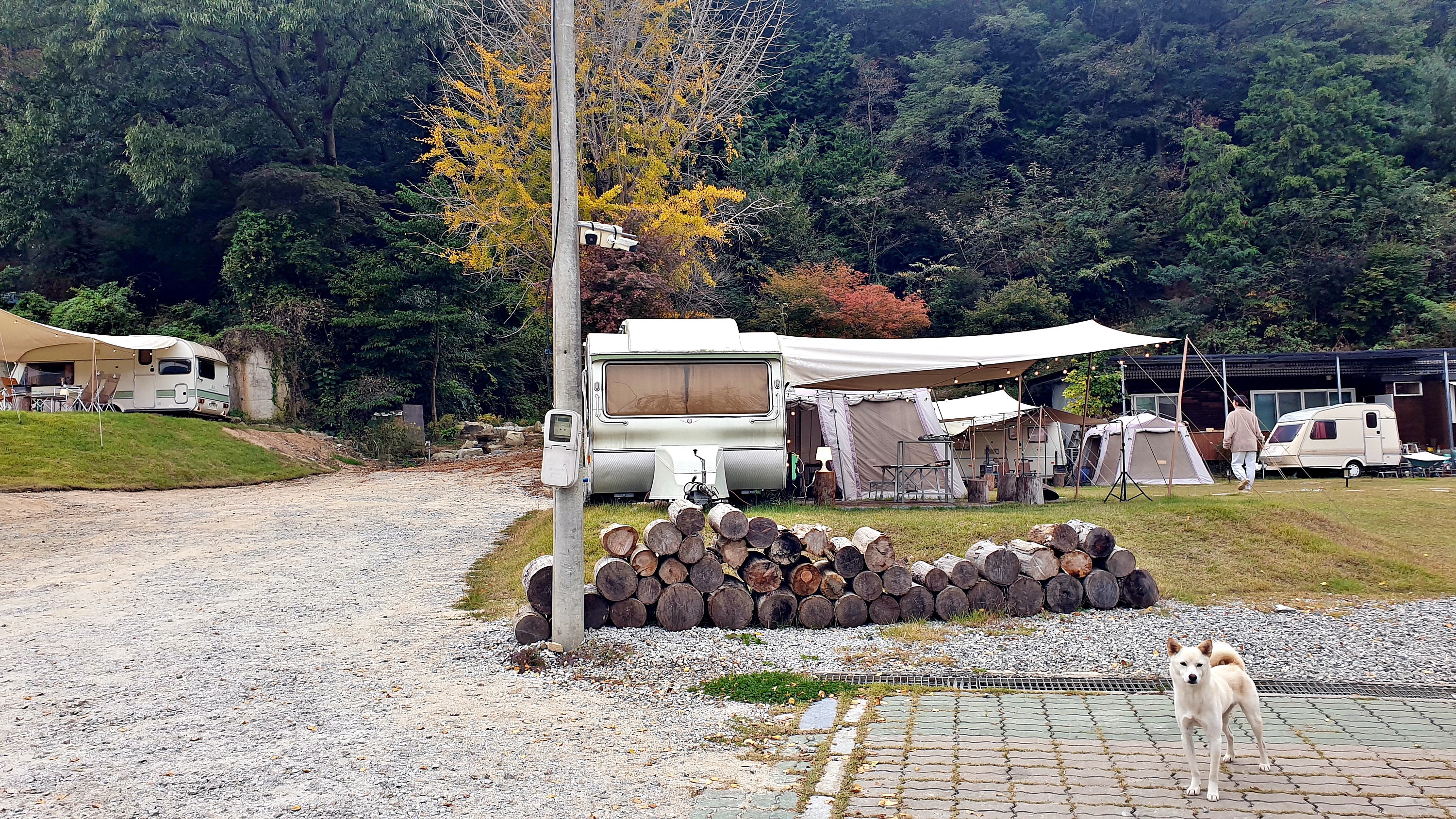 캠프히어 이미지