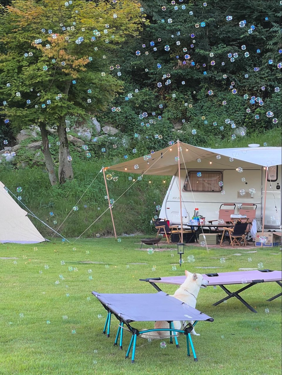 캠프히어 이미지