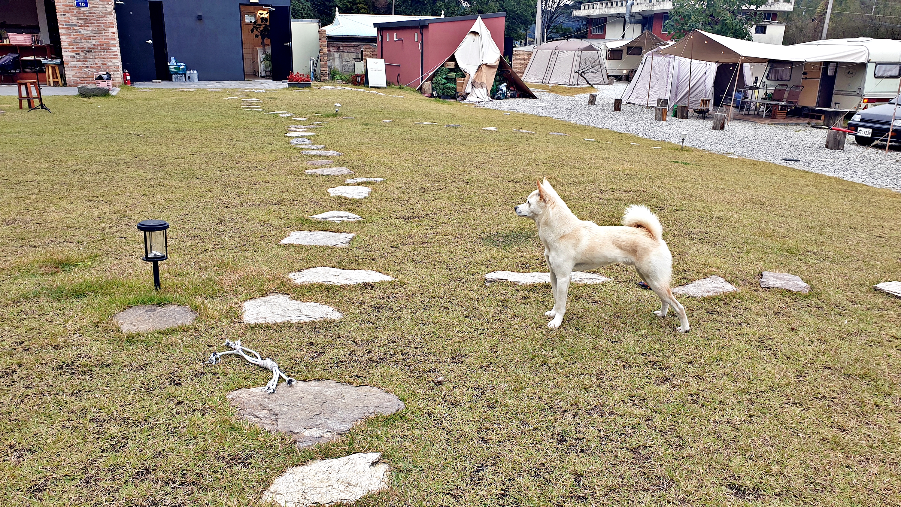 캠프히어 이미지