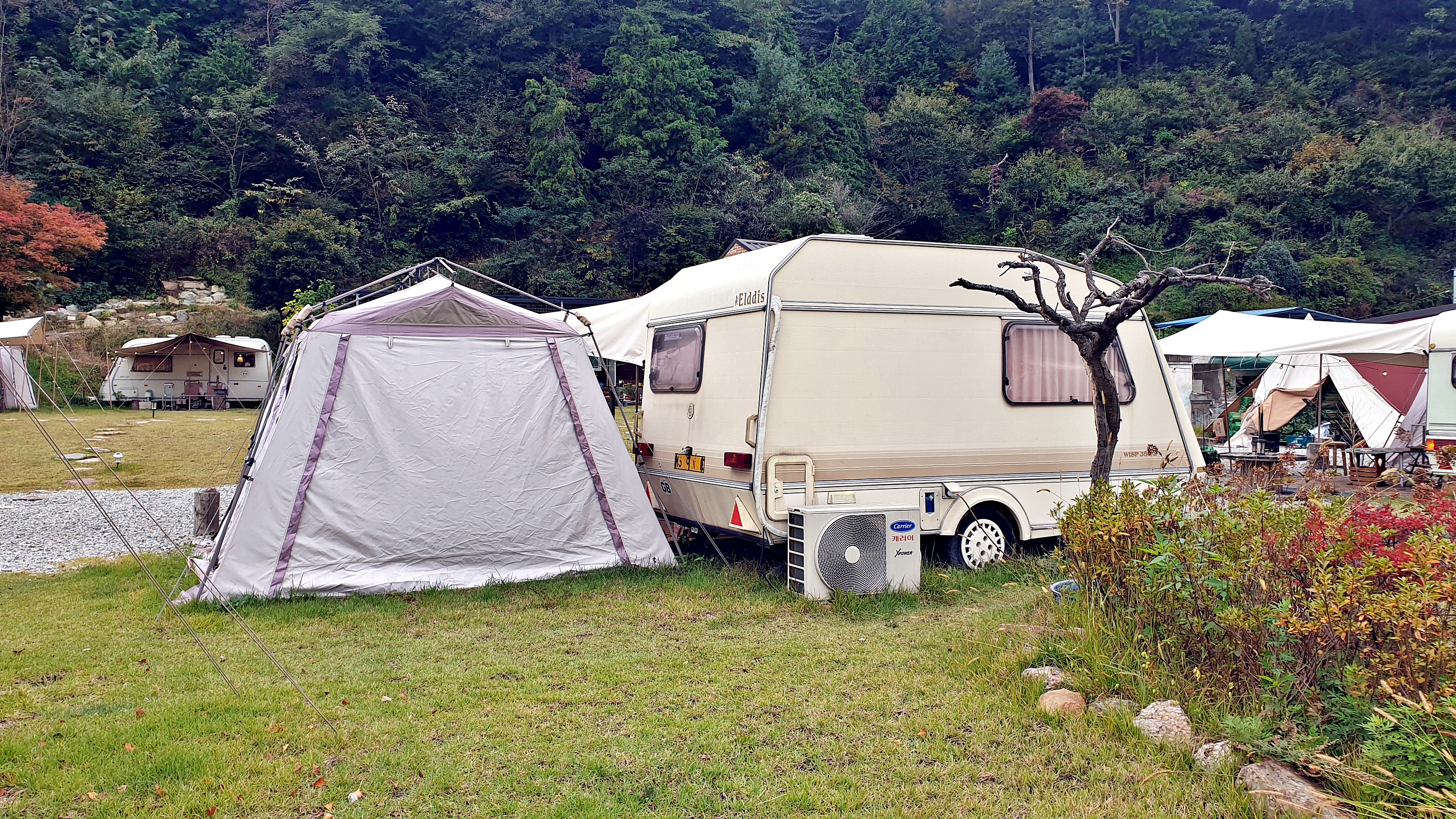 캠프히어 이미지