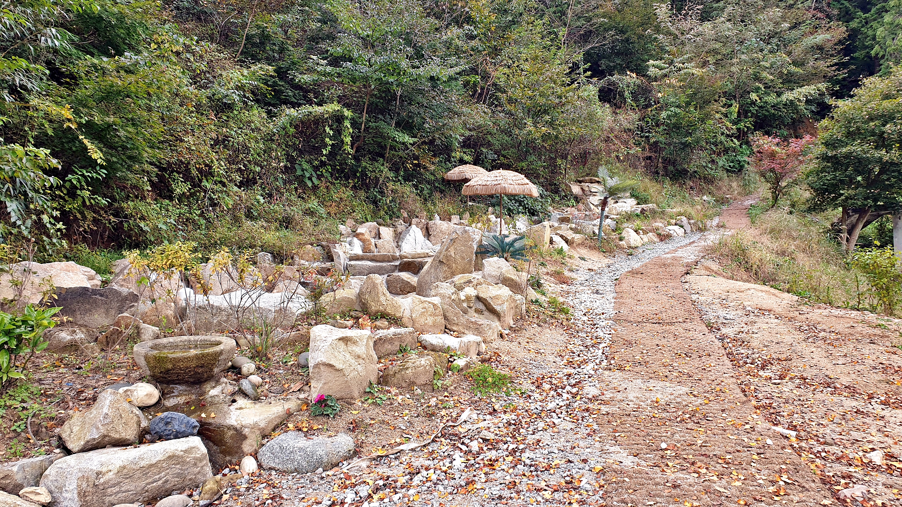 캠프히어 이미지