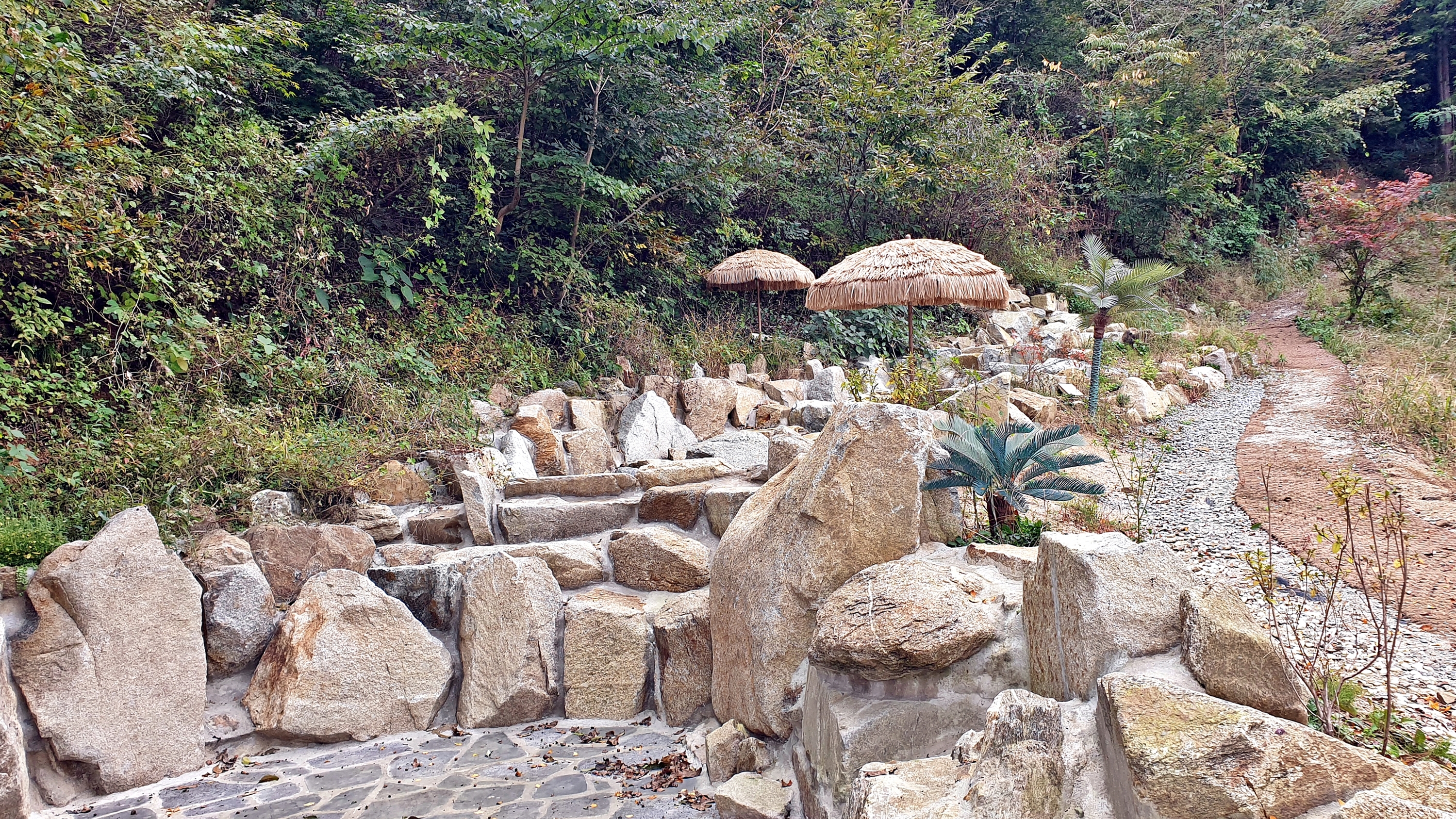 캠프히어 이미지