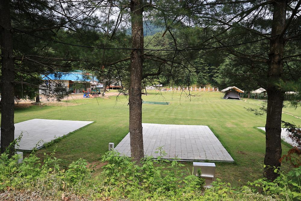 야단법석 사진