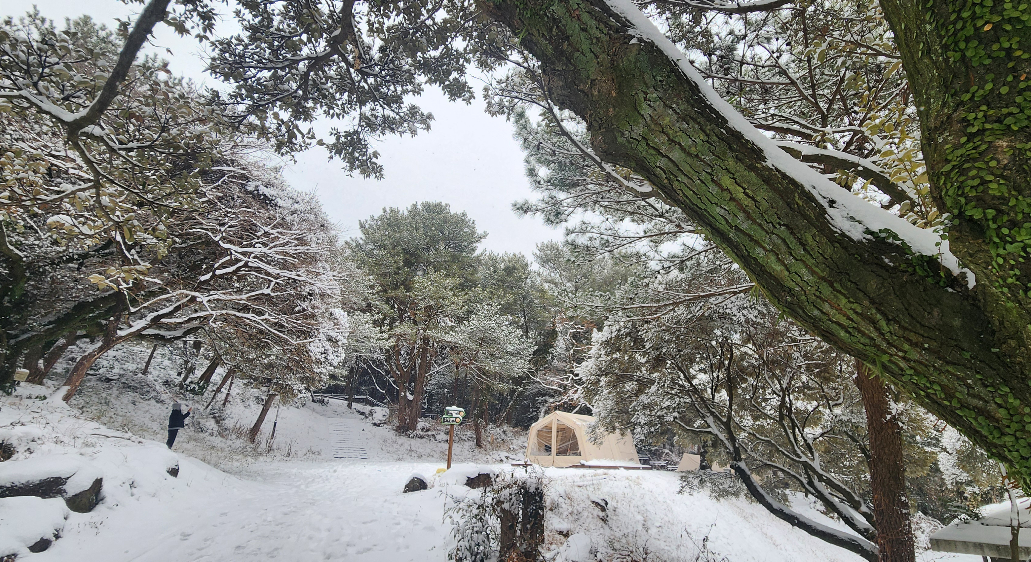 돈내코 야영장 15번째 이미지