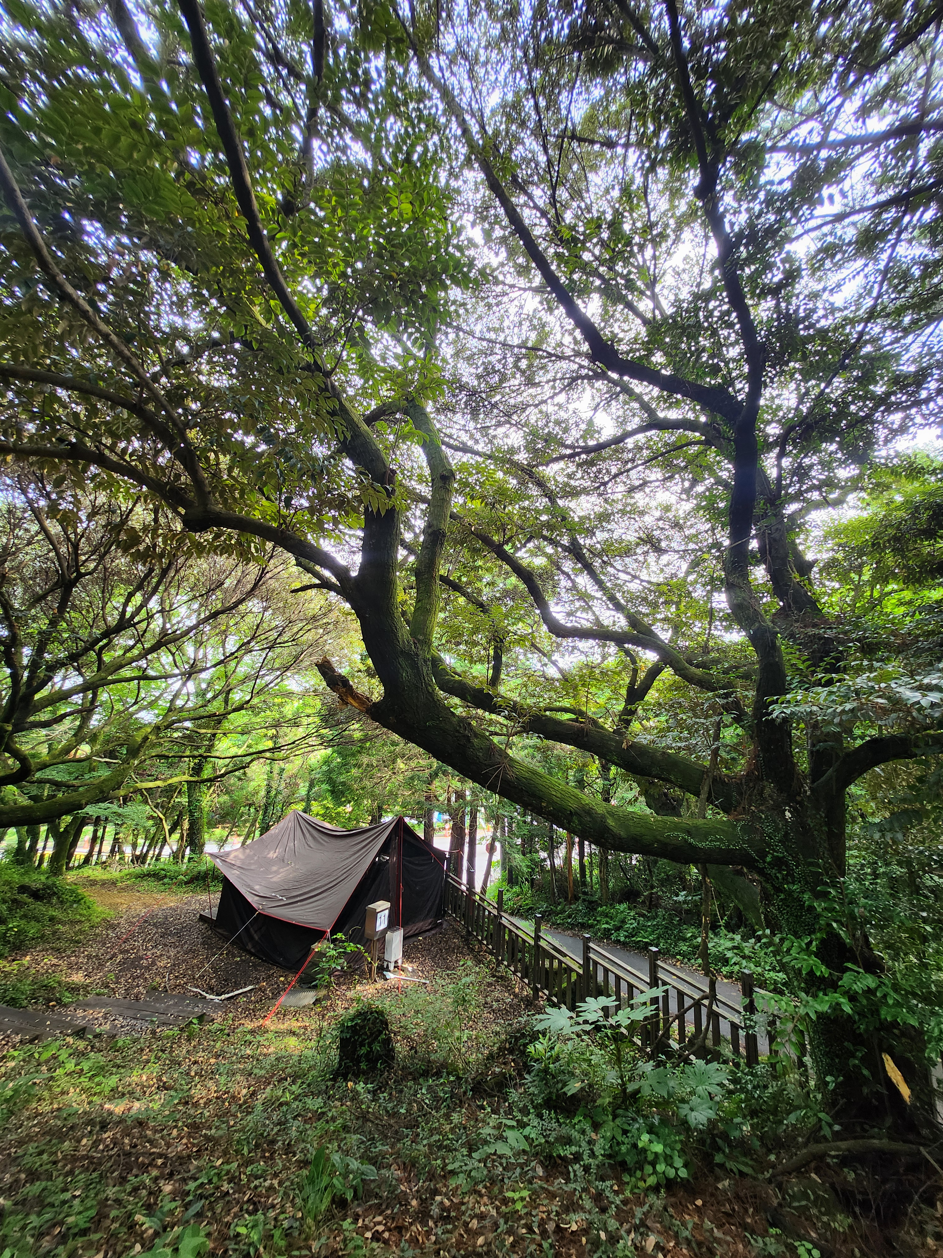 돈내코 야영장 5번째 이미지