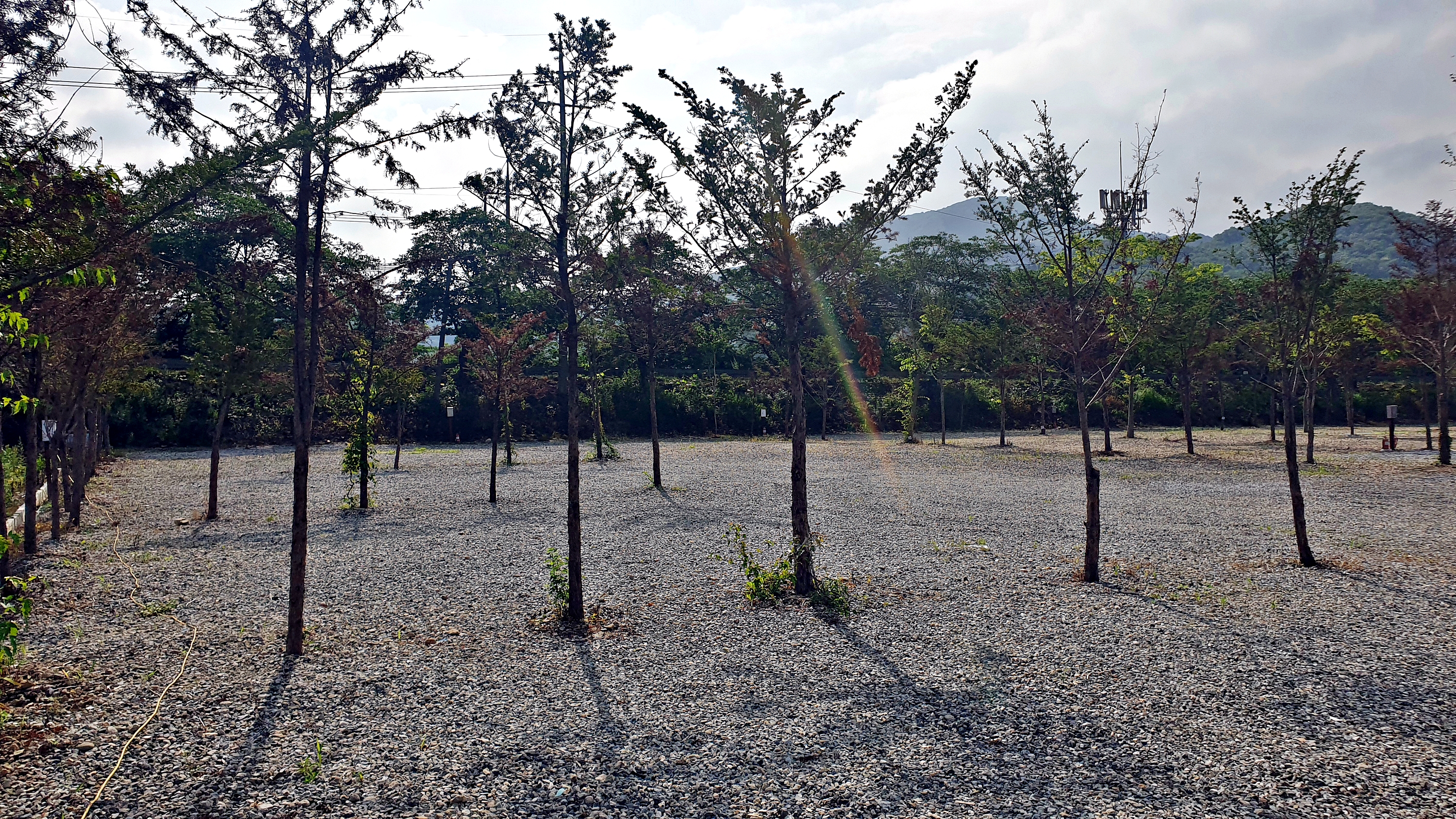 워터사이드 캠핑장 이미지