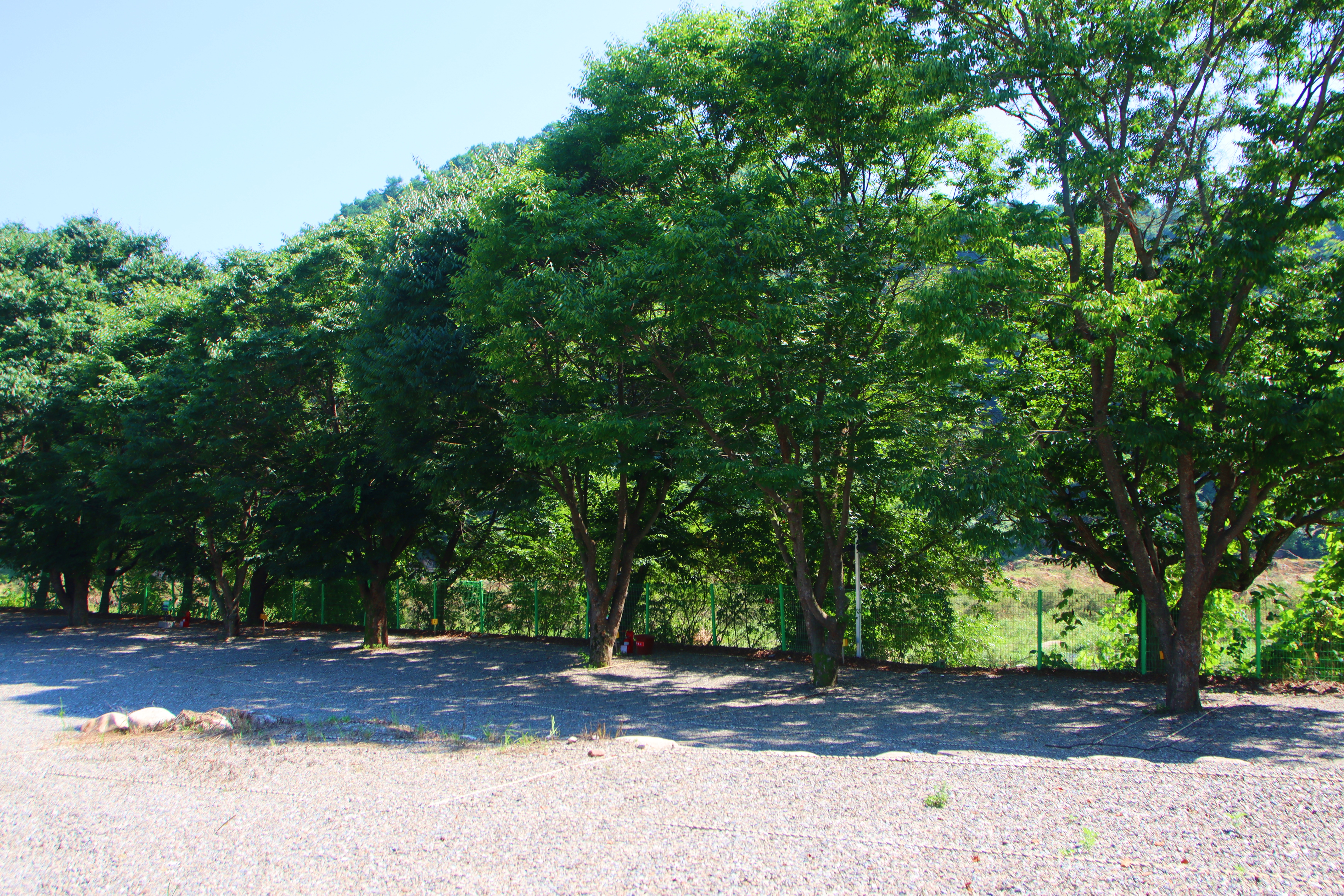 가평아지트캠핑장 이미지