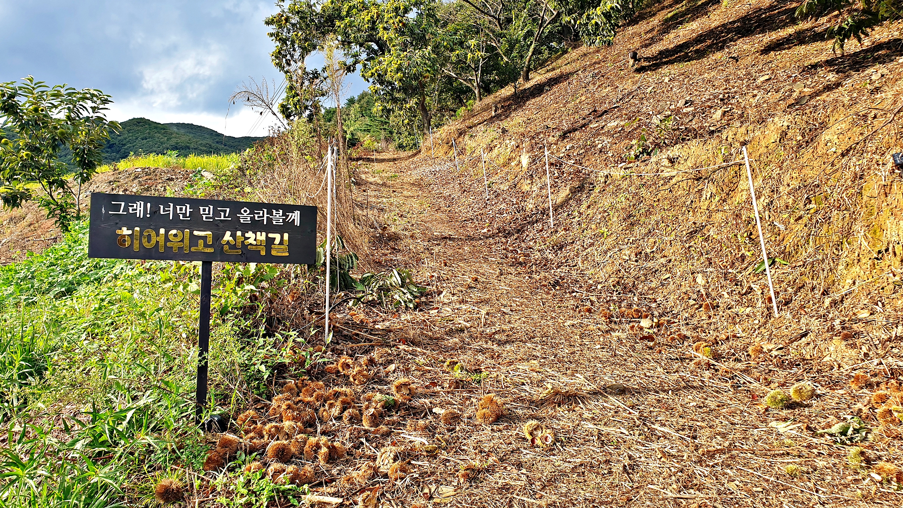 히어위고 글램핑&바베큐 이미지