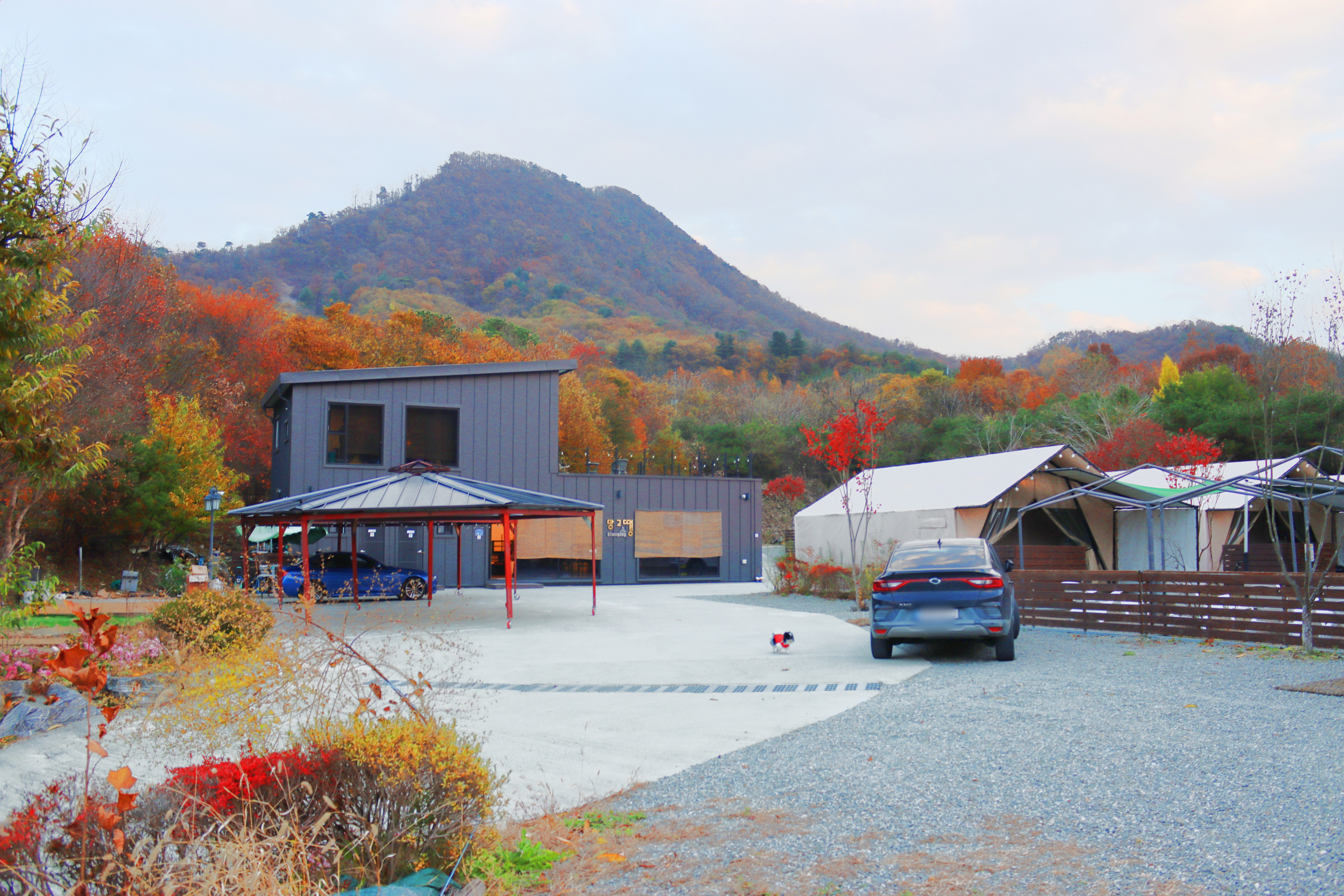 망고땡 글램핑 이미지