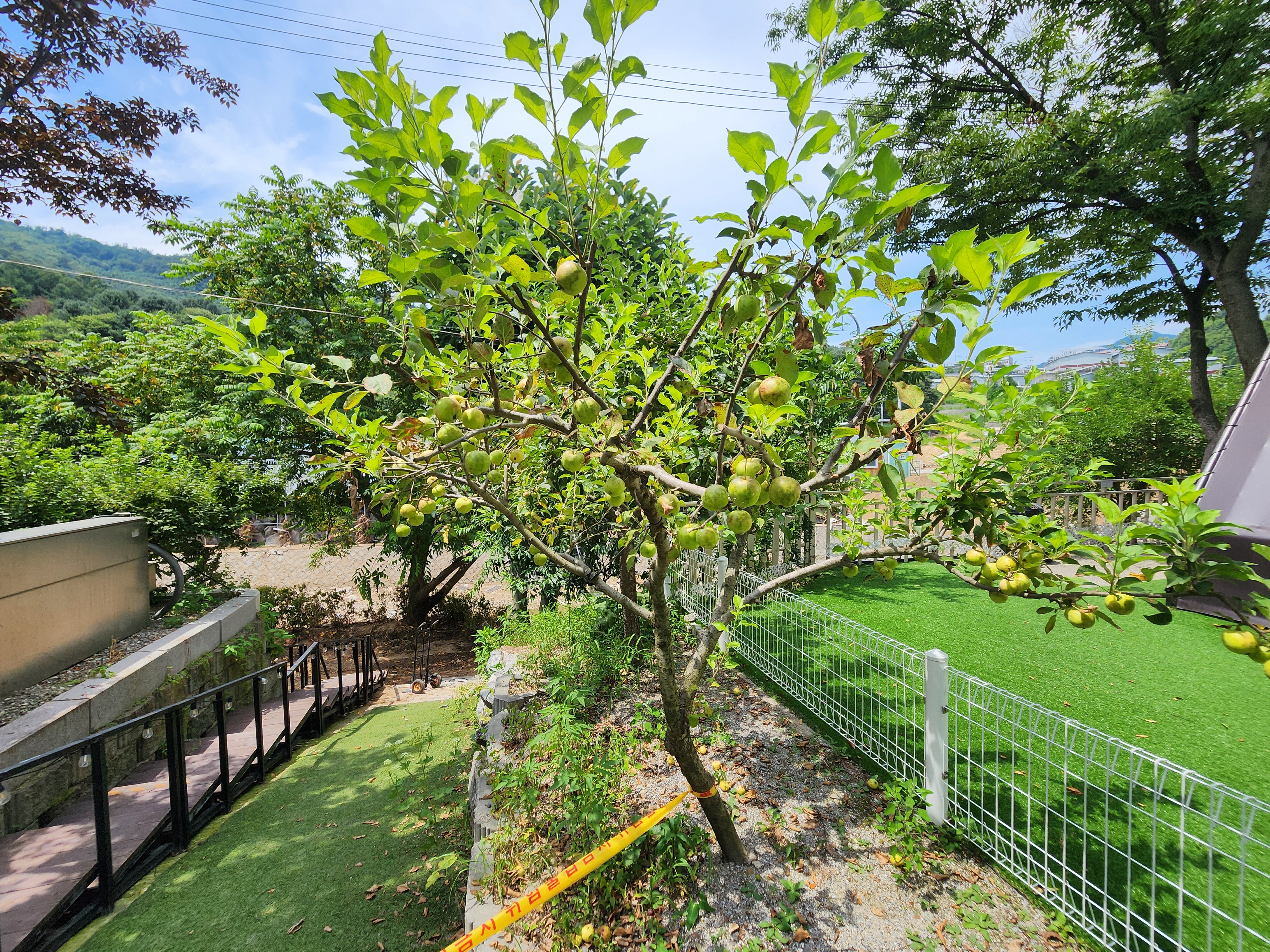 스윗피크닉 20번째 이미지