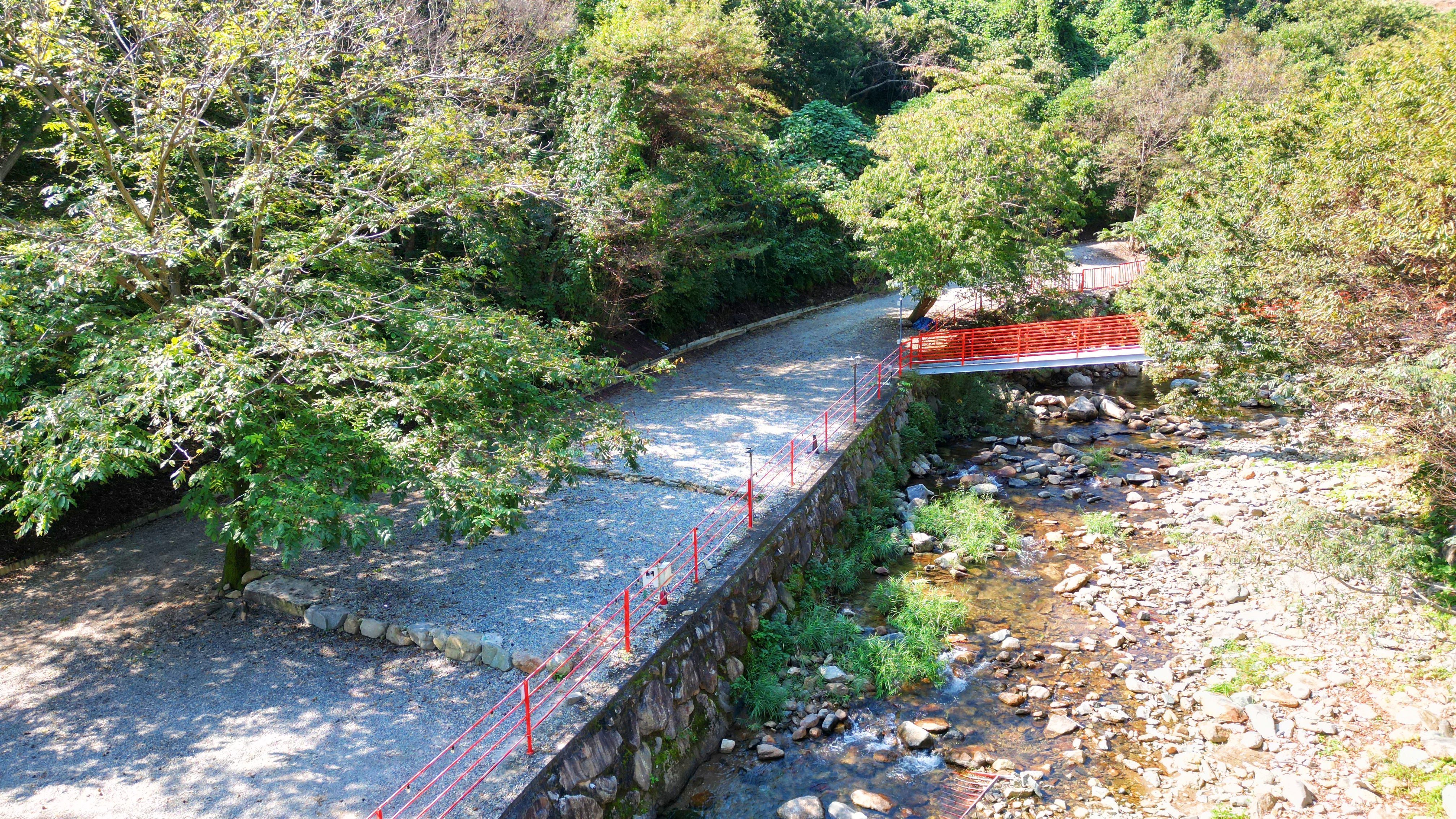 숲내음에 머물다 이미지
