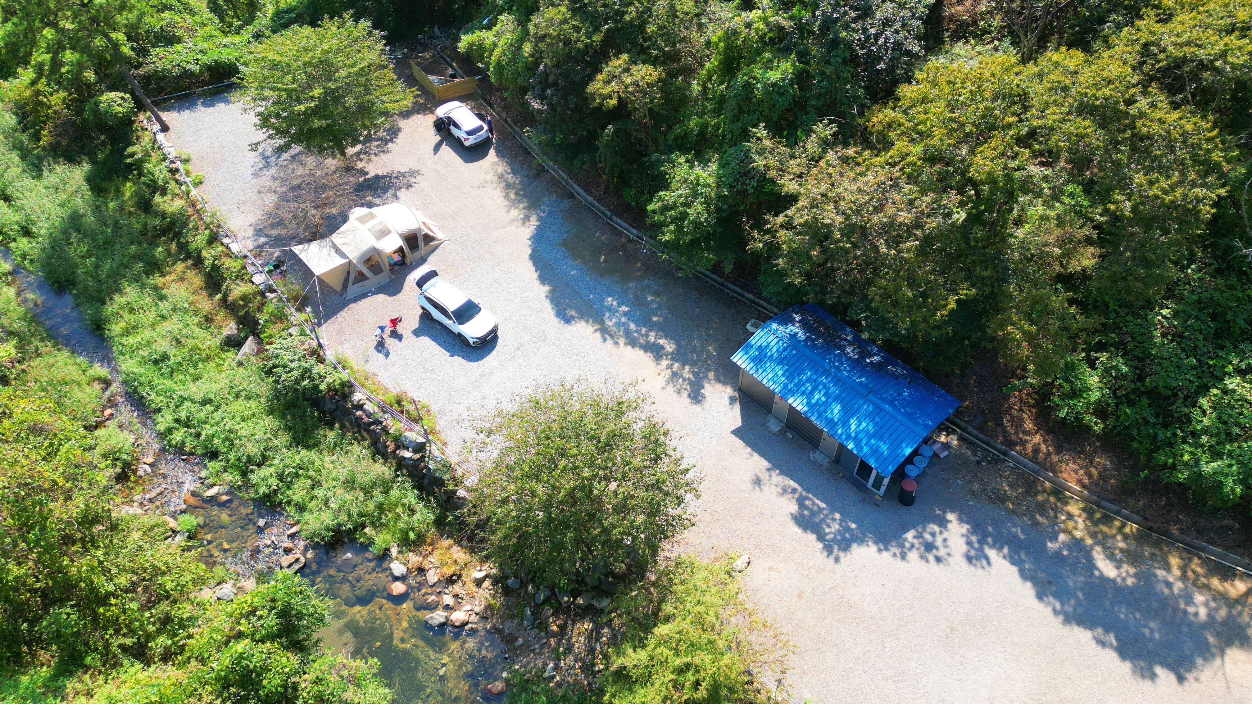 숲내음에 머물다 이미지