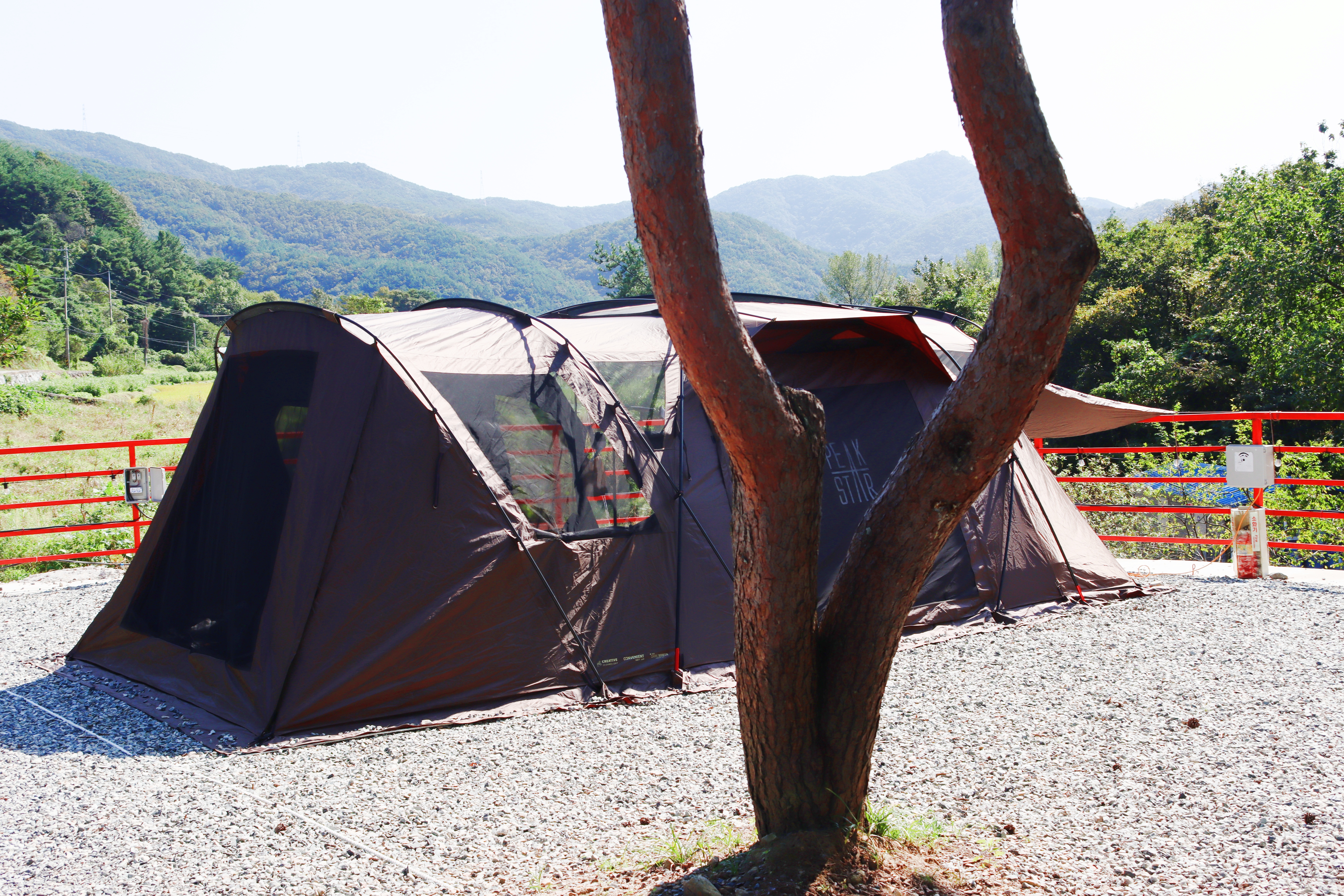 숲내음에 머물다 이미지