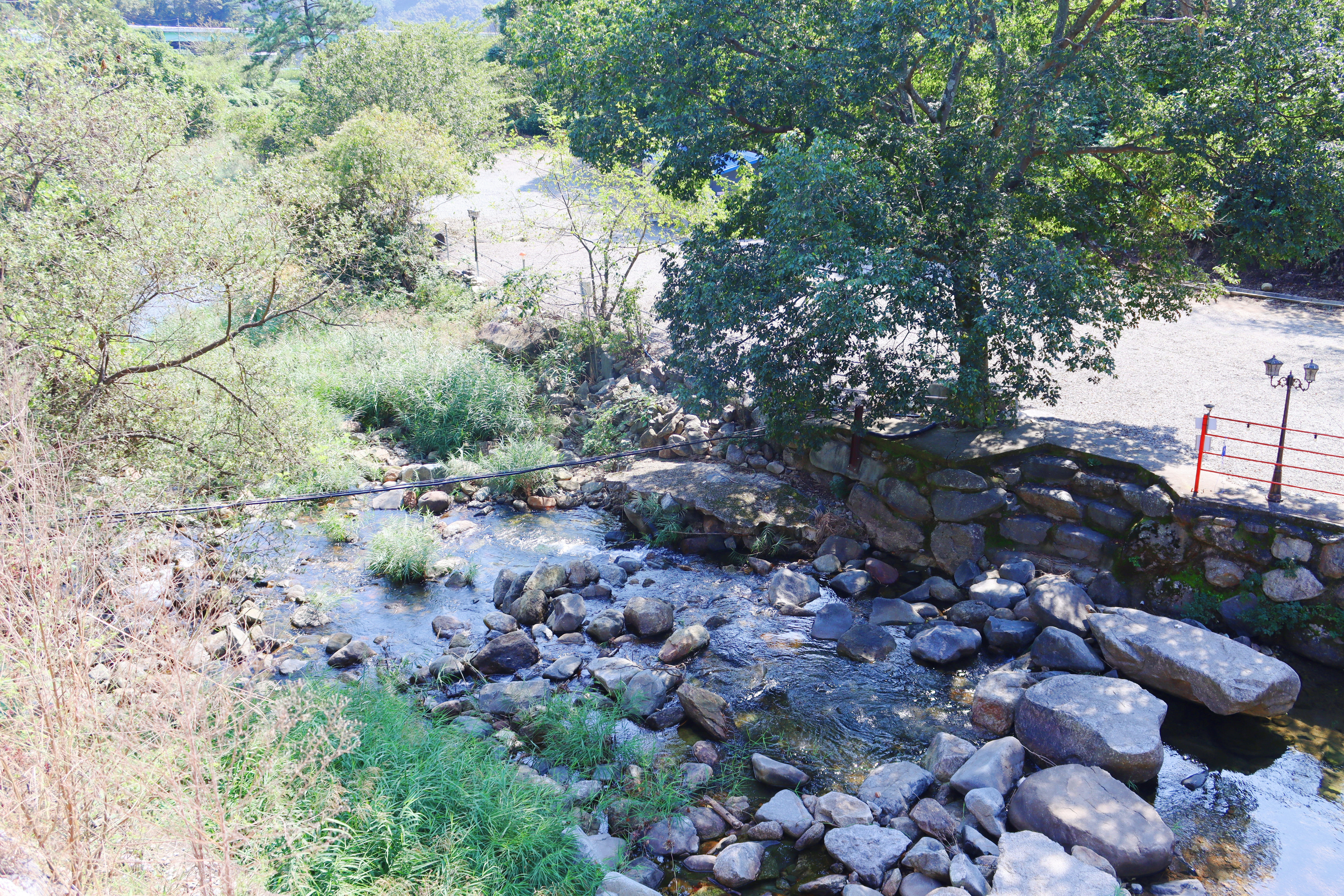 숲내음에 머물다 이미지