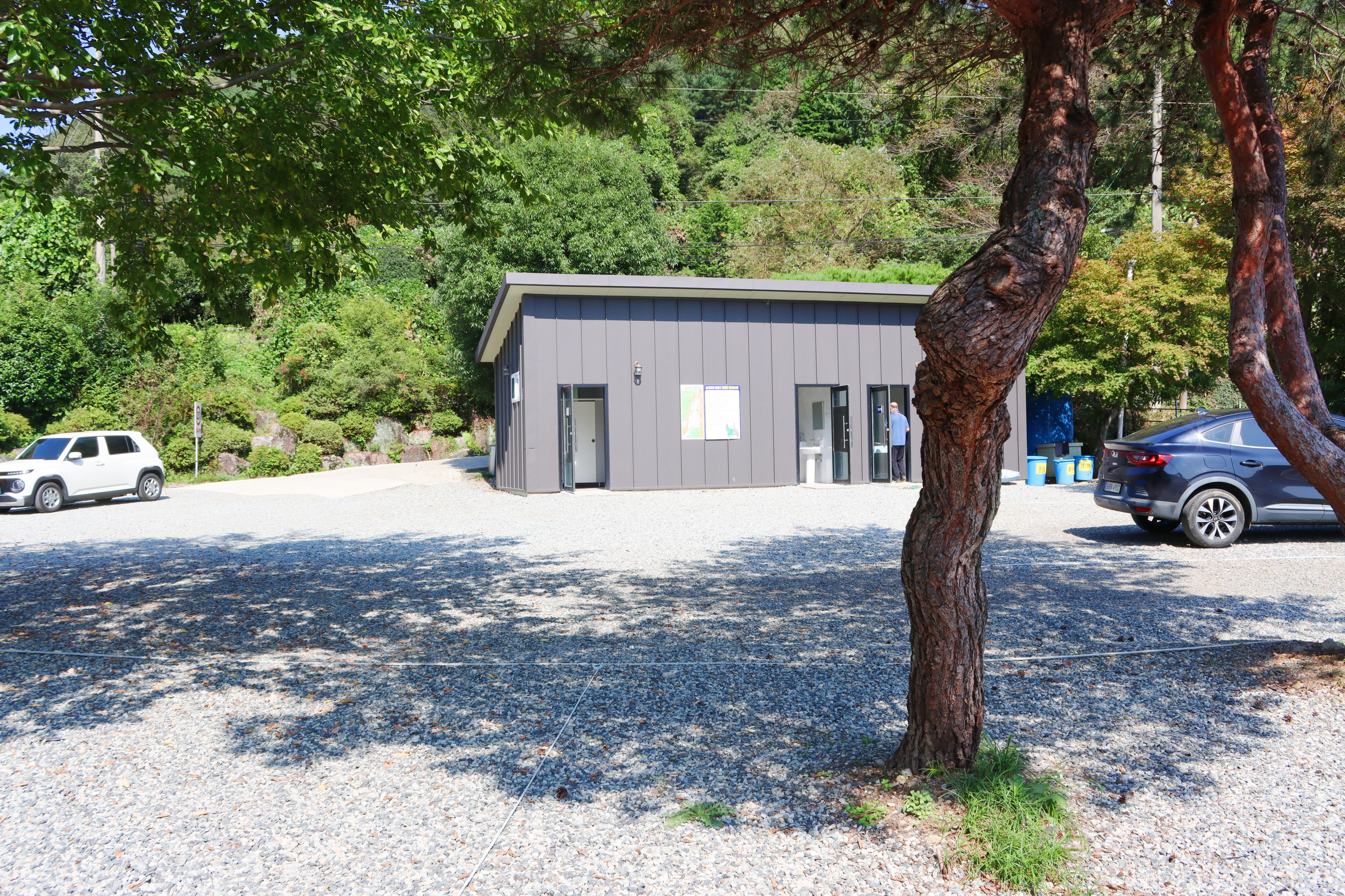 숲내음에 머물다 이미지