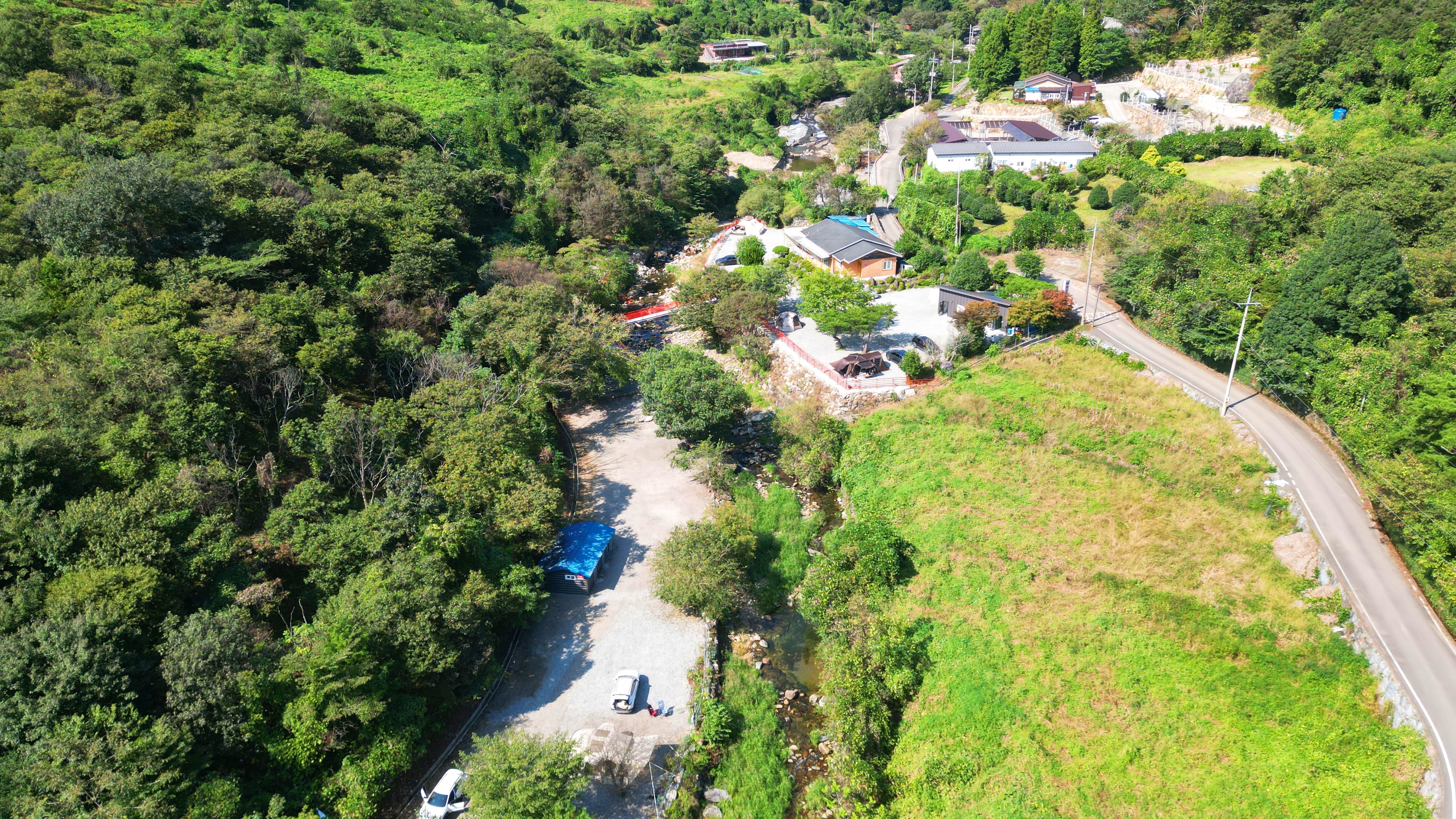 숲내음에 머물다 이미지