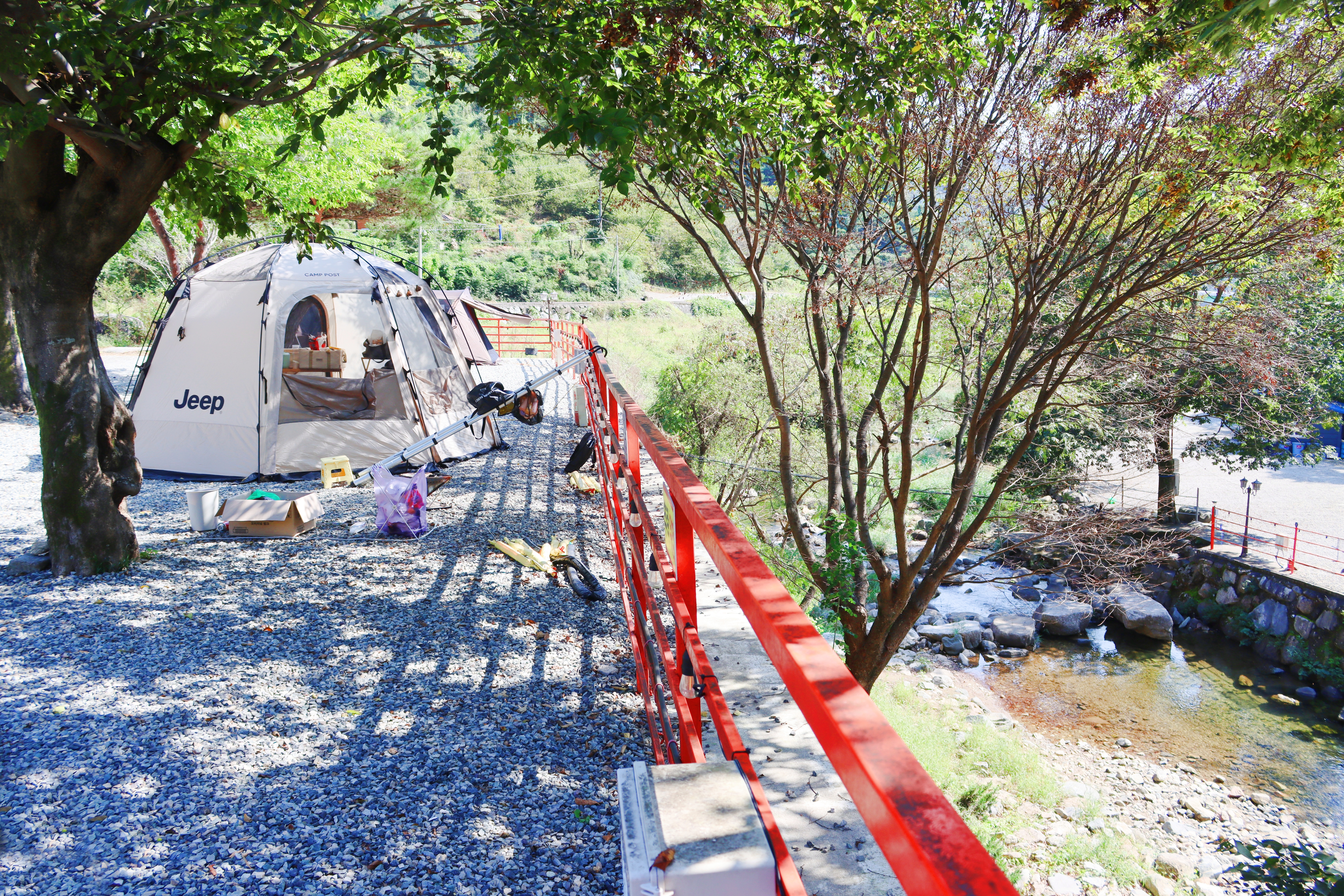 숲내음에 머물다 이미지