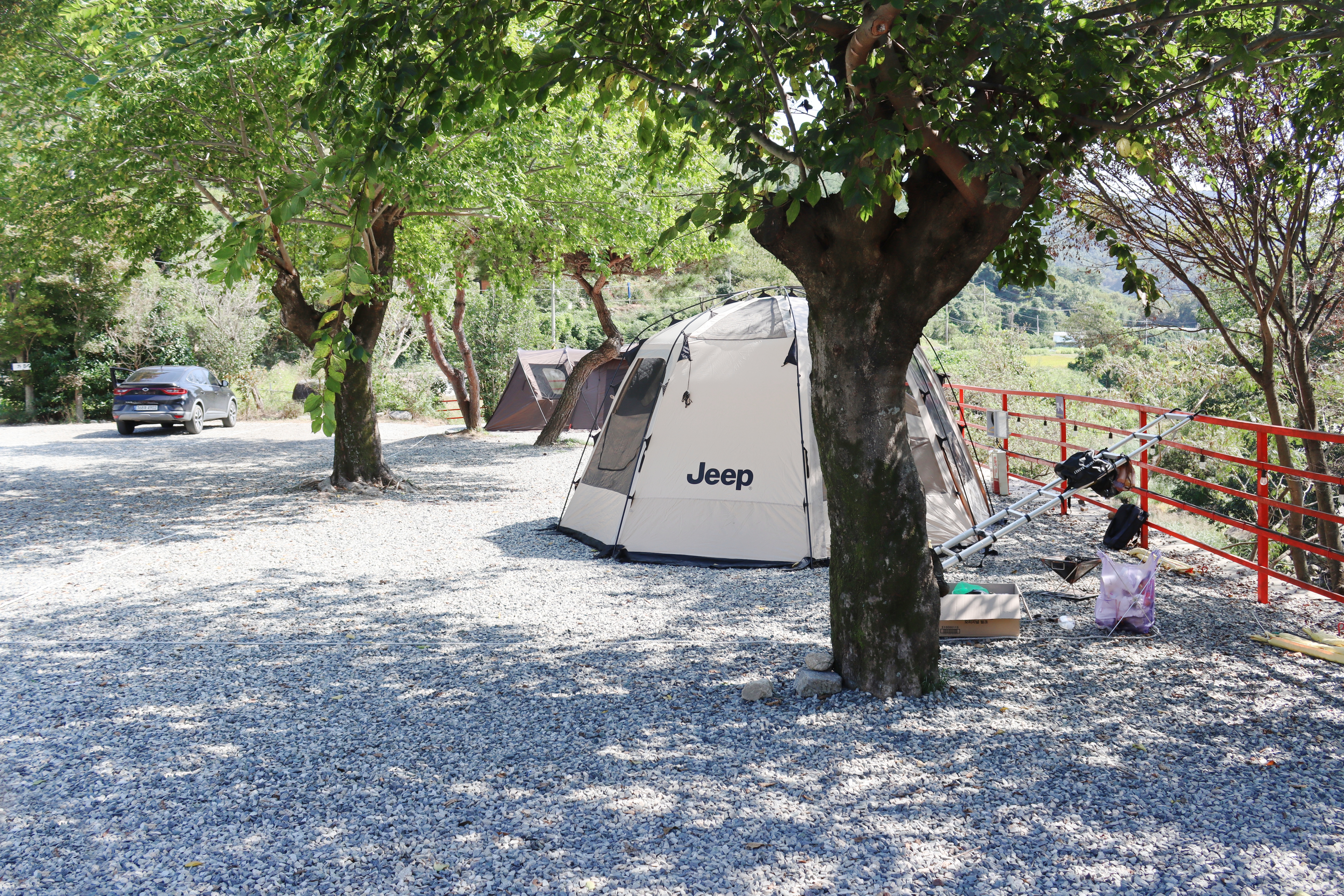 숲내음에 머물다 이미지