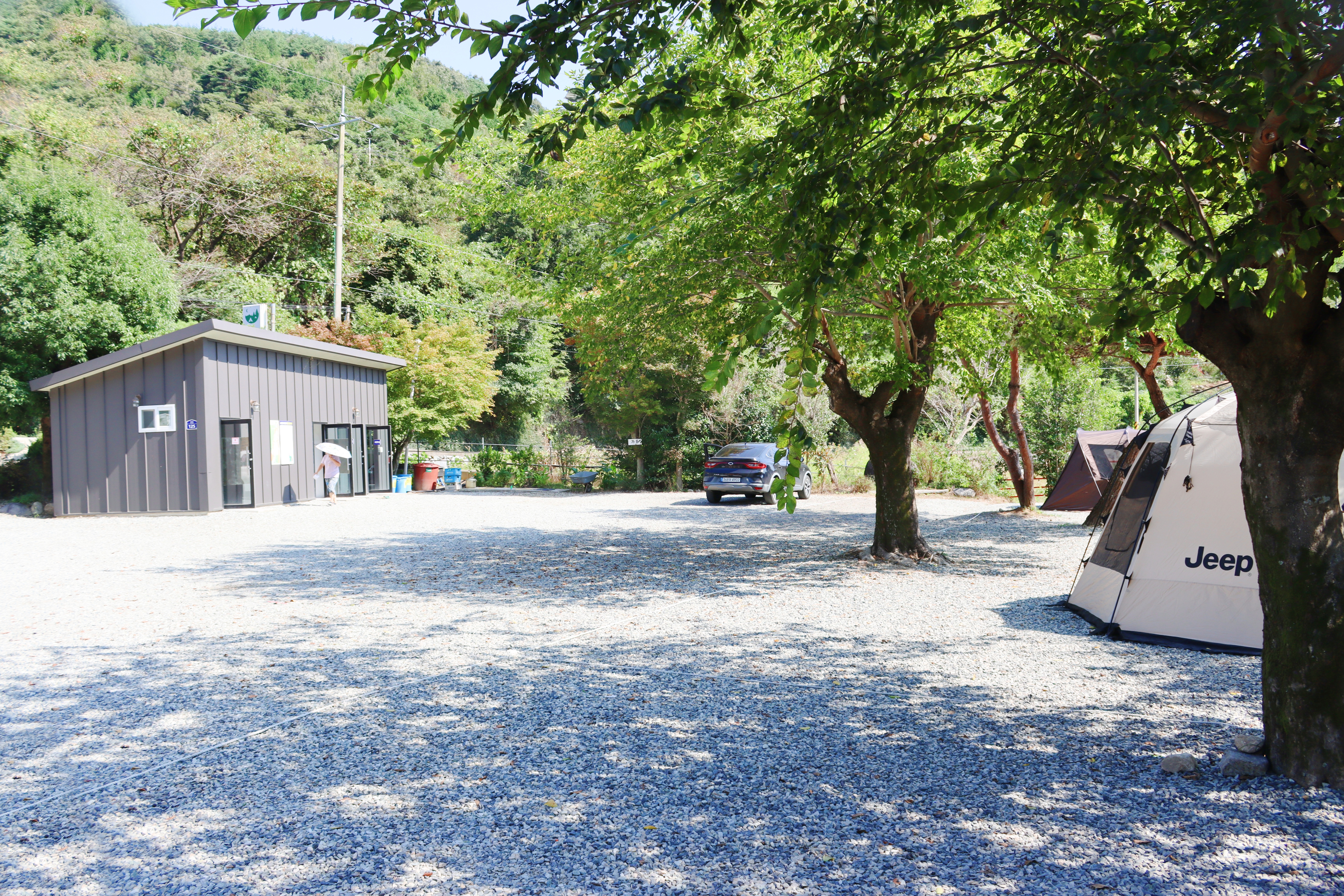 숲내음에 머물다 이미지