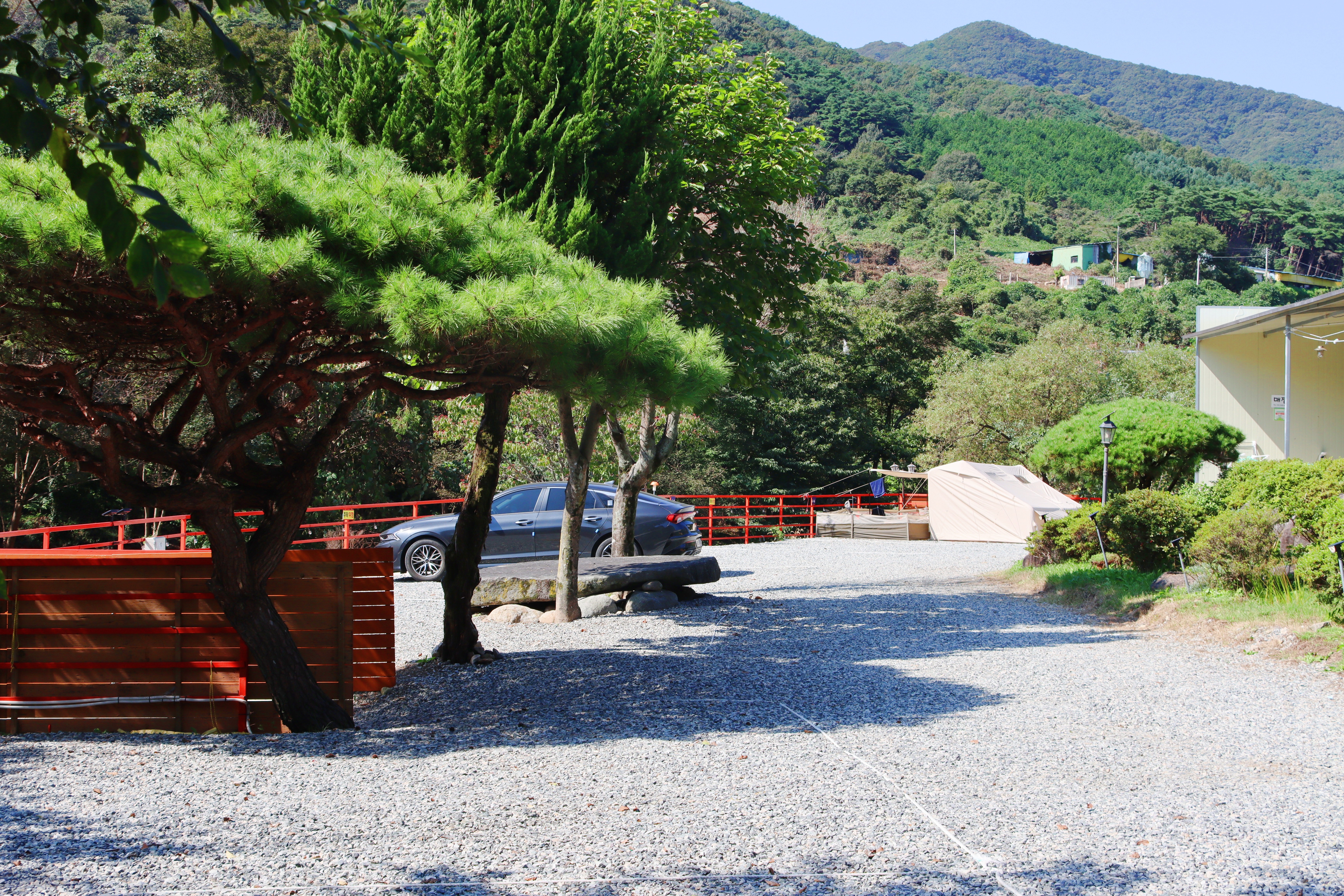 숲내음에 머물다 이미지