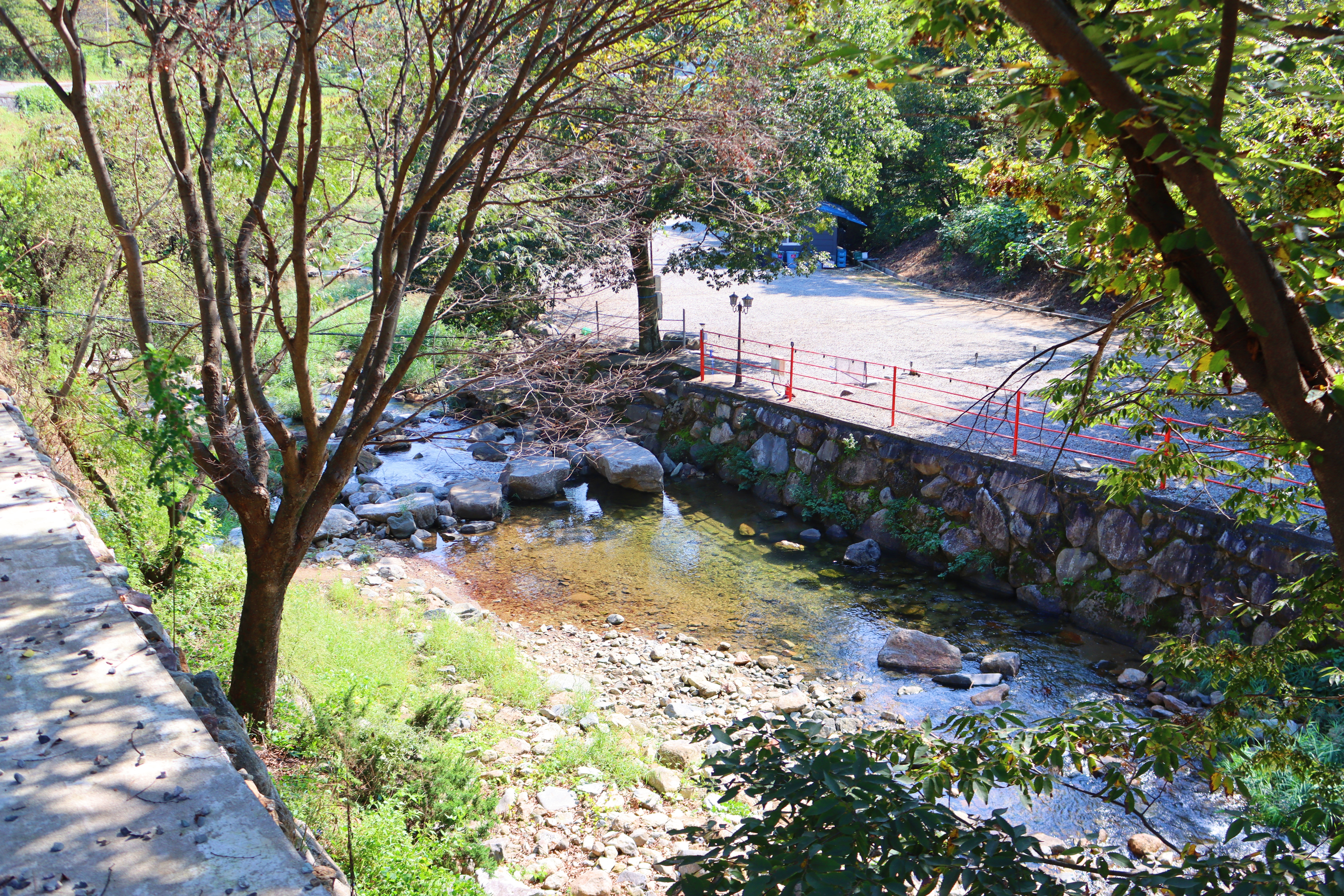 숲내음에 머물다 이미지
