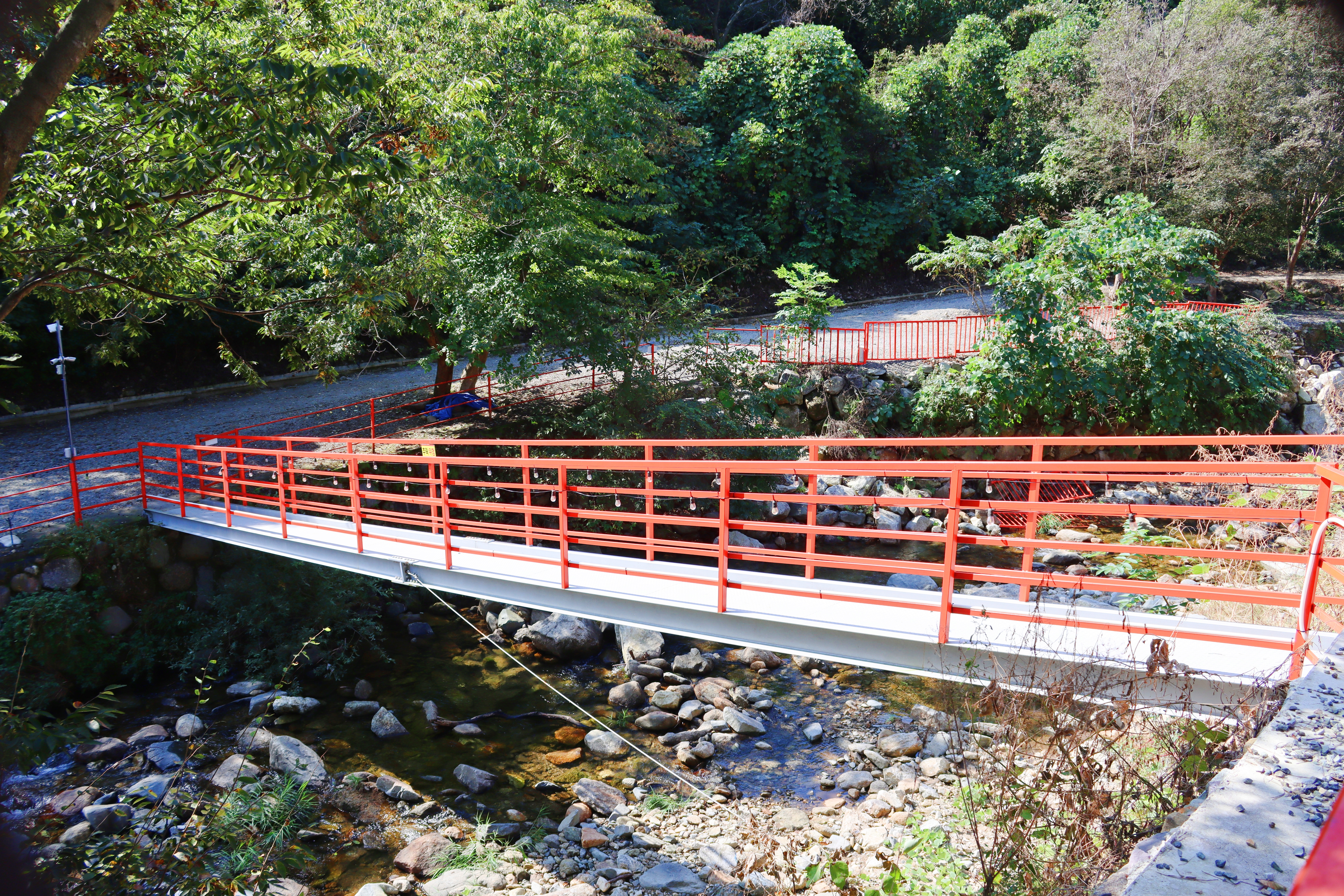 숲내음에 머물다 이미지