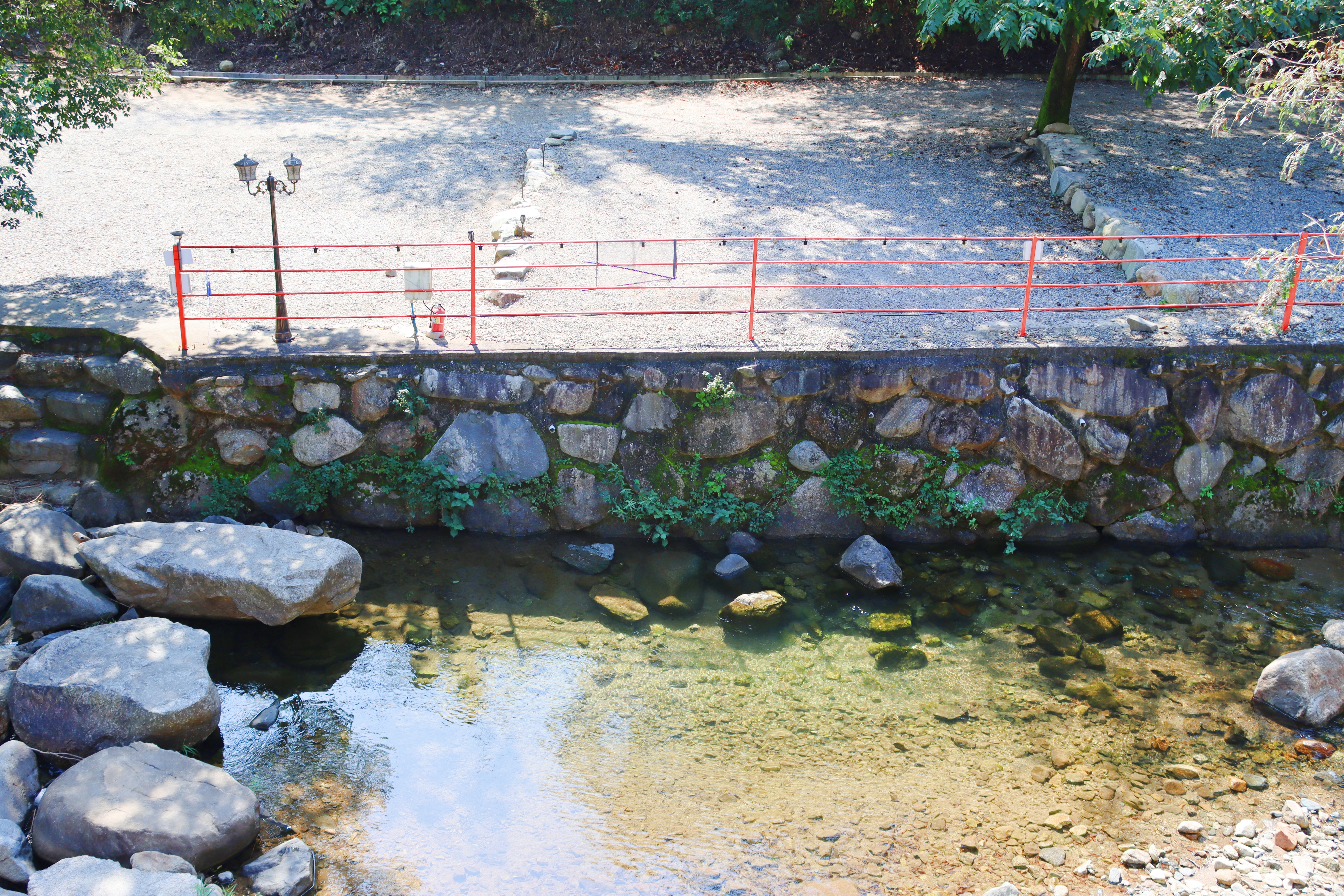 숲내음에 머물다 이미지