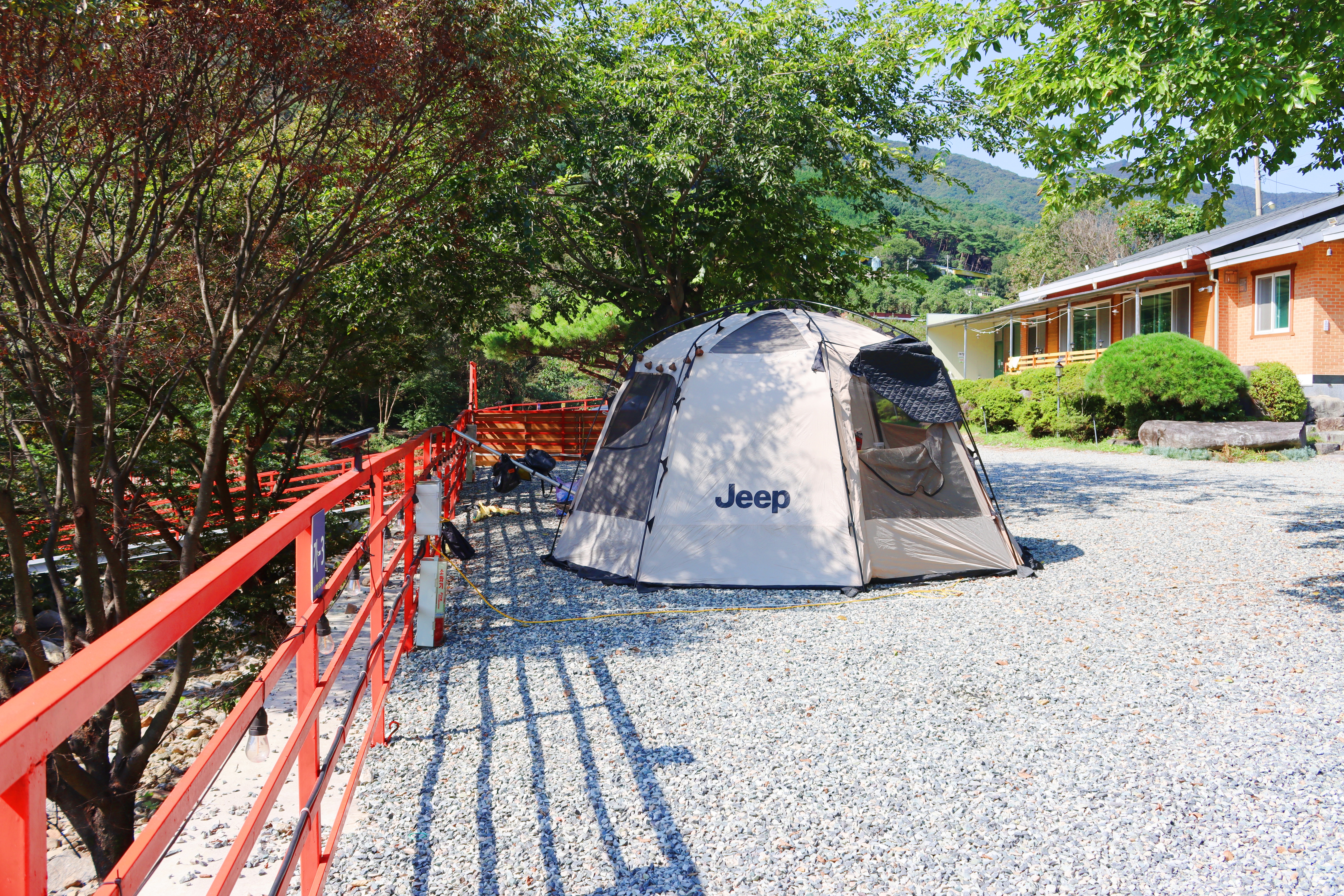 숲내음에 머물다 이미지