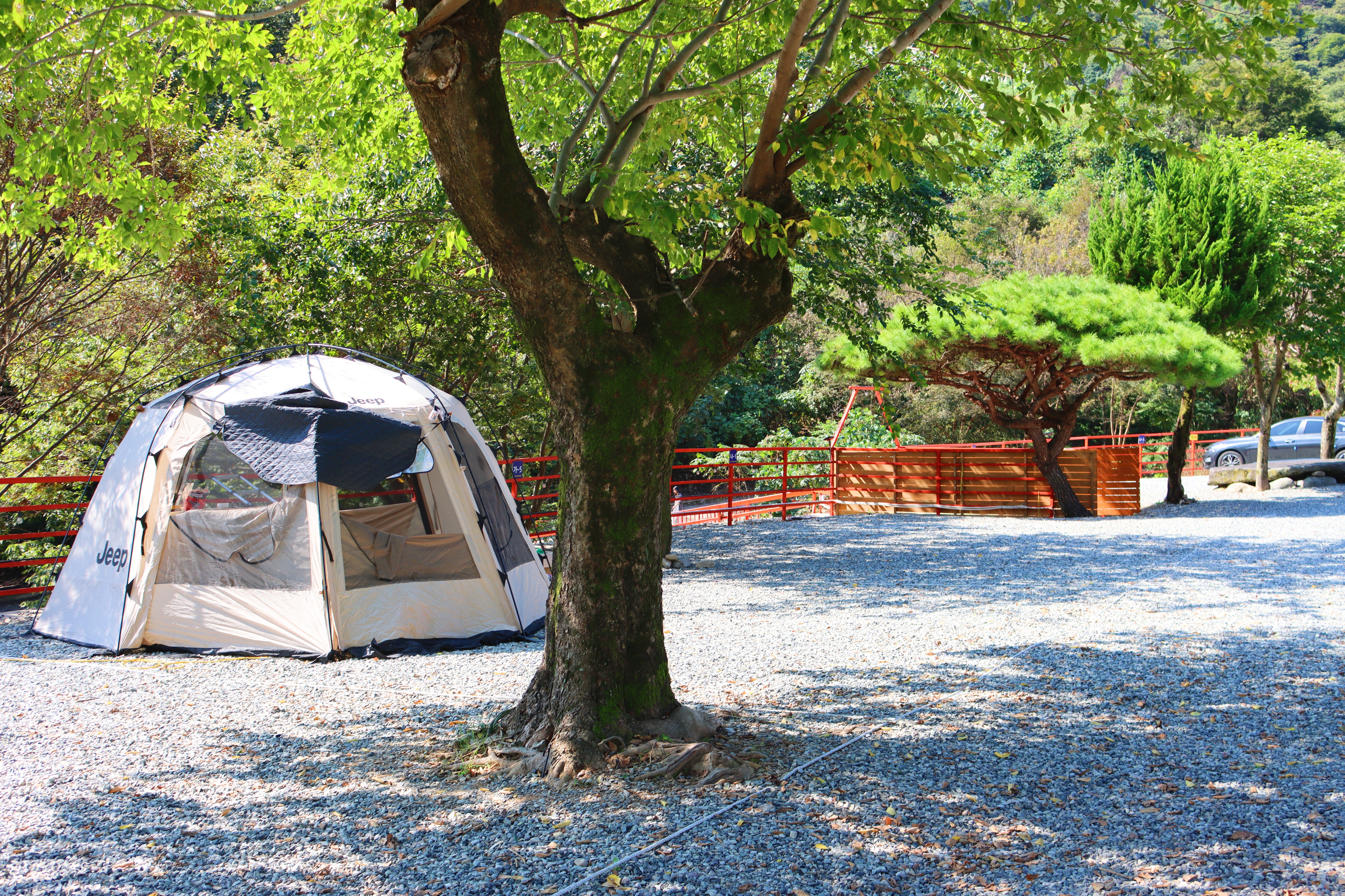 숲내음에 머물다 이미지