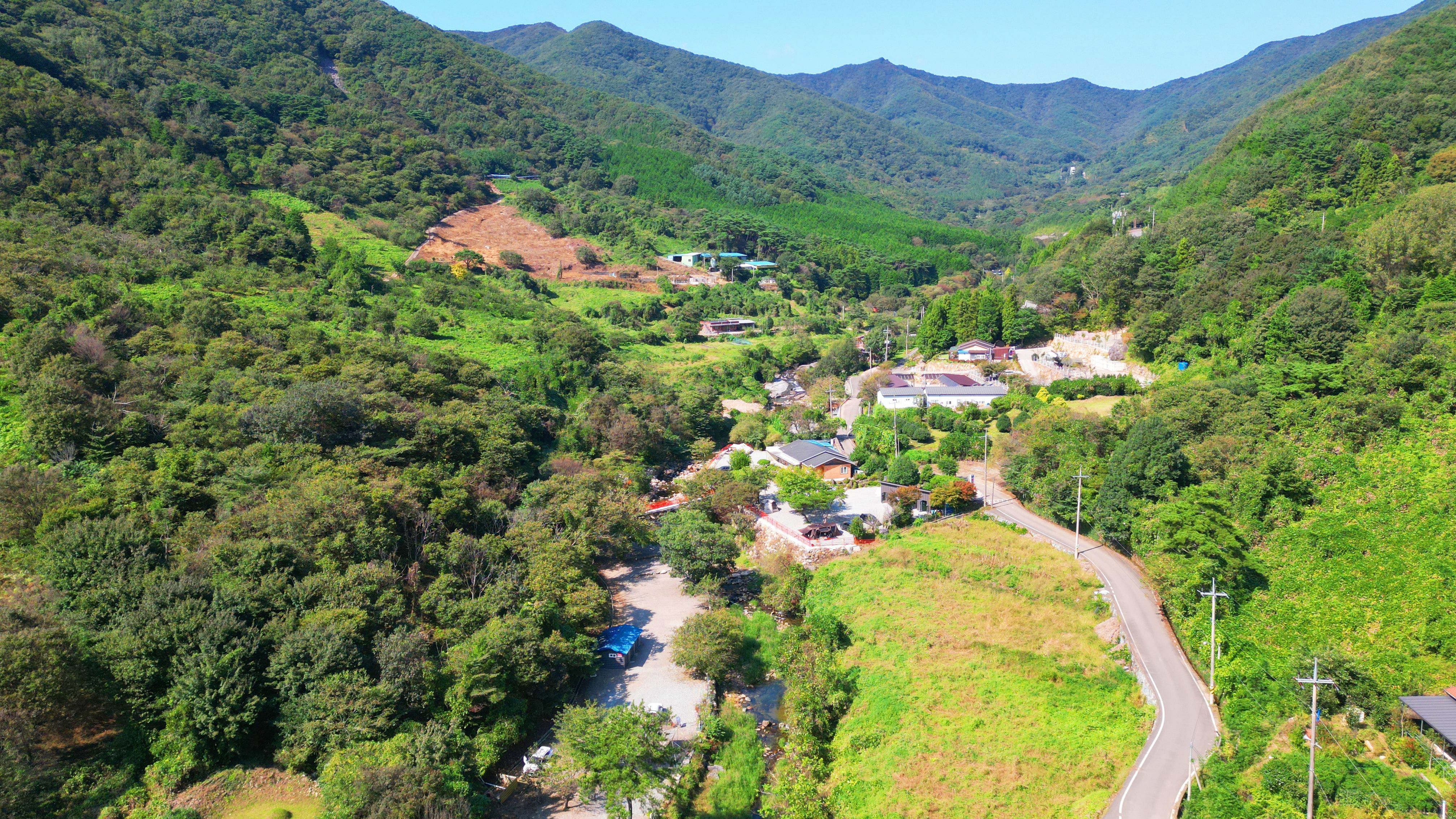 숲내음에 머물다 이미지