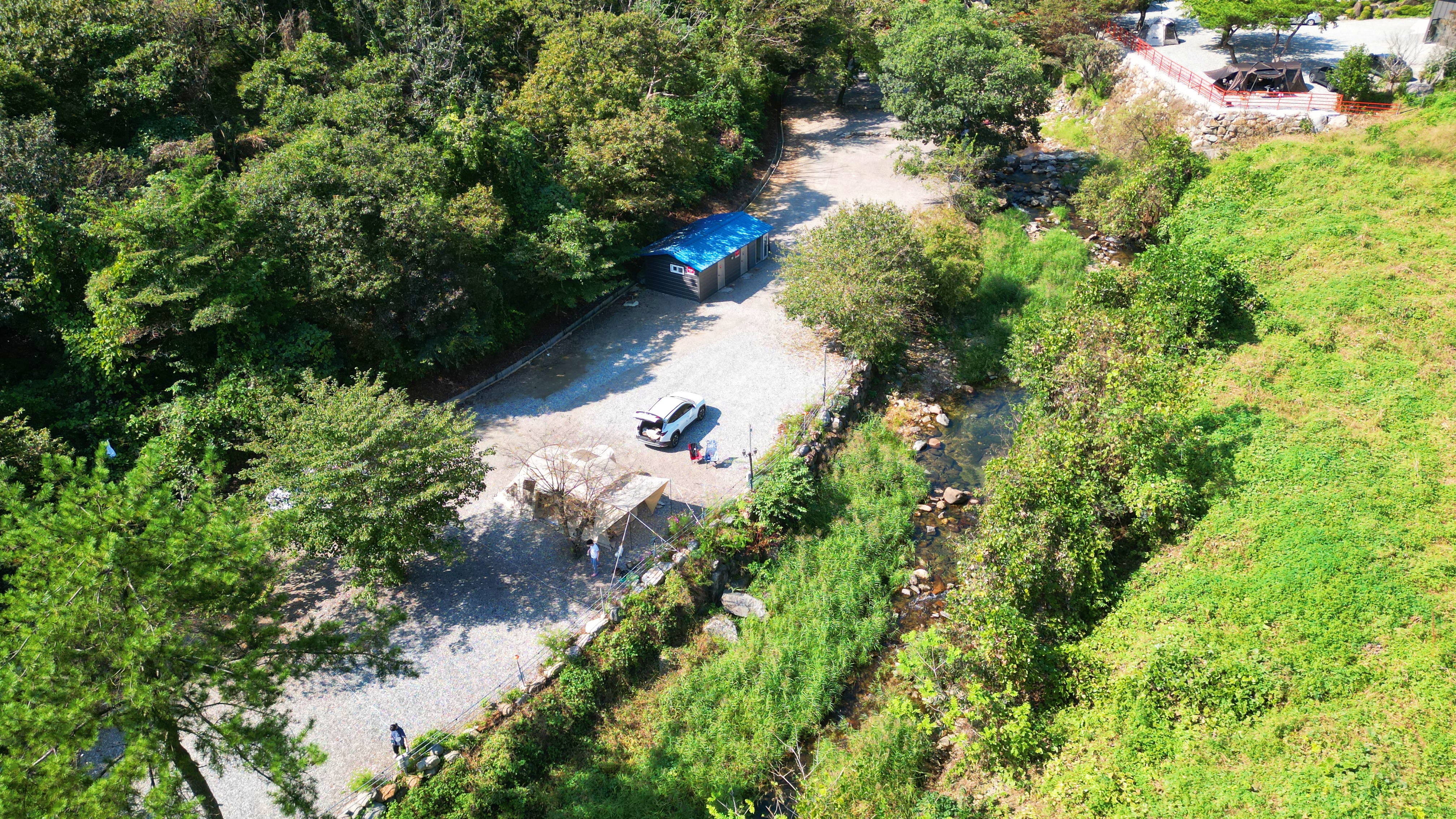 숲내음에 머물다 이미지