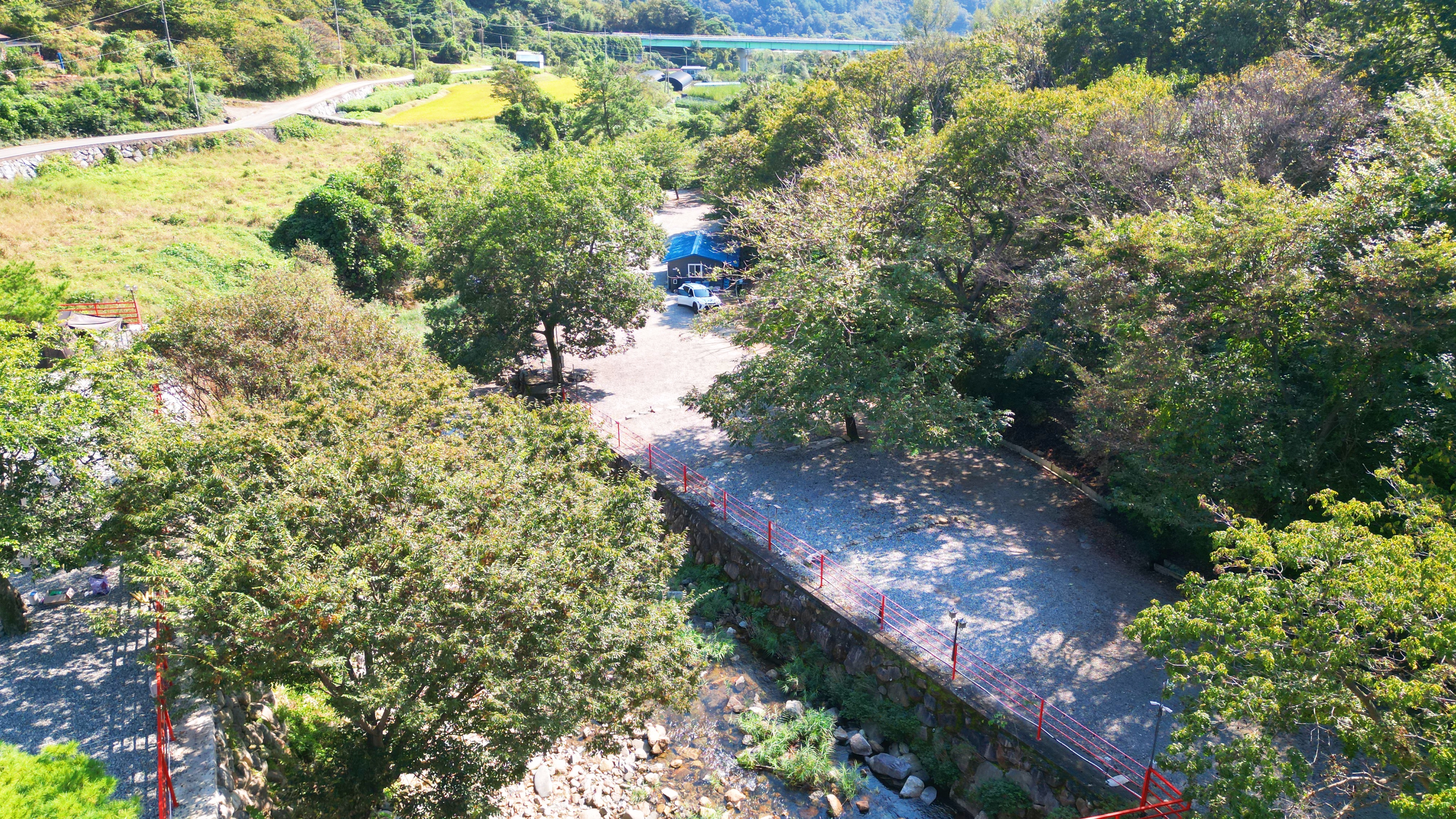 숲내음에 머물다 이미지