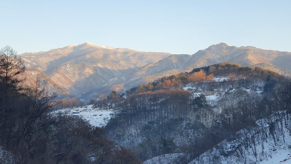 단양 도담캠핑장