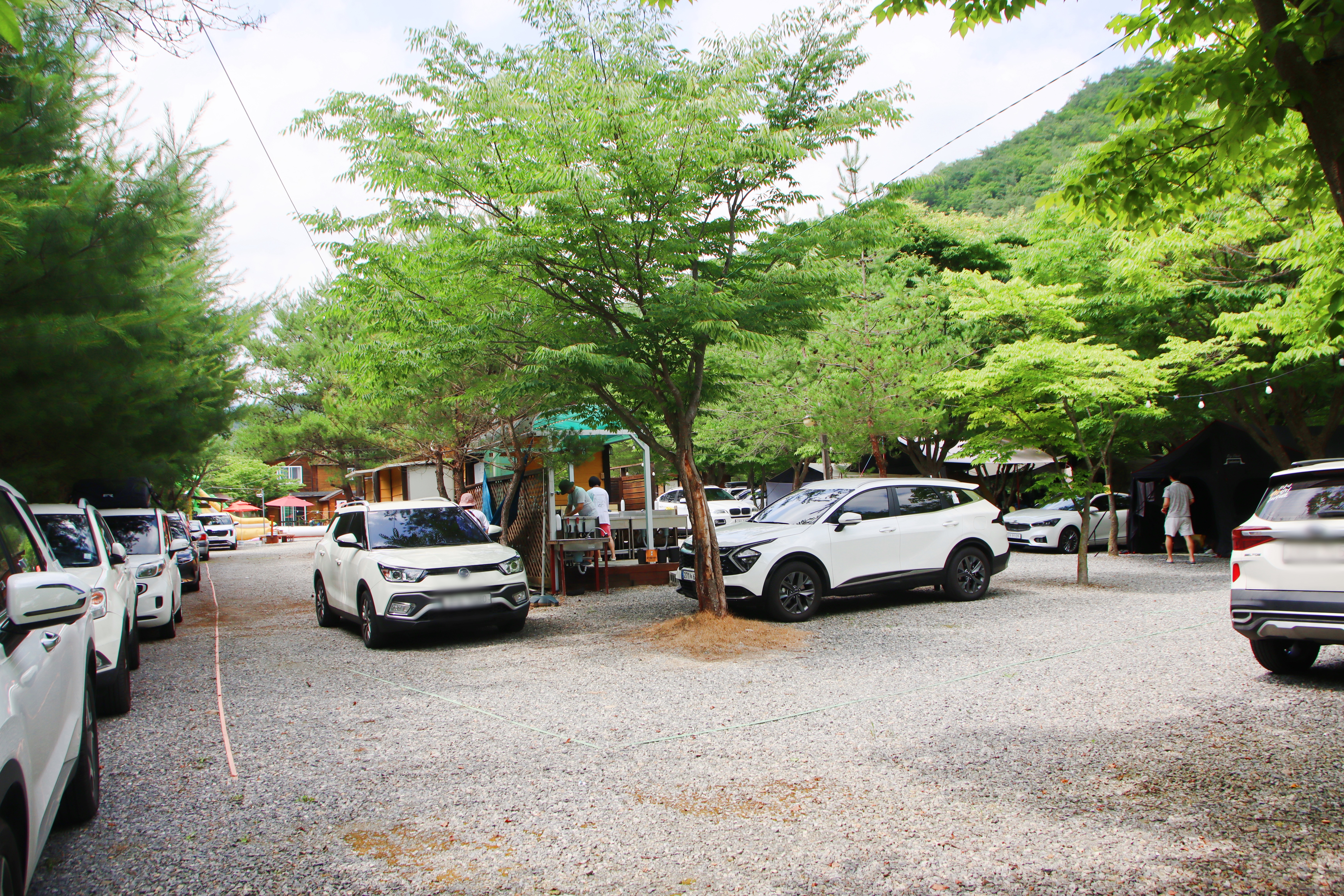 지구별캠프 이미지