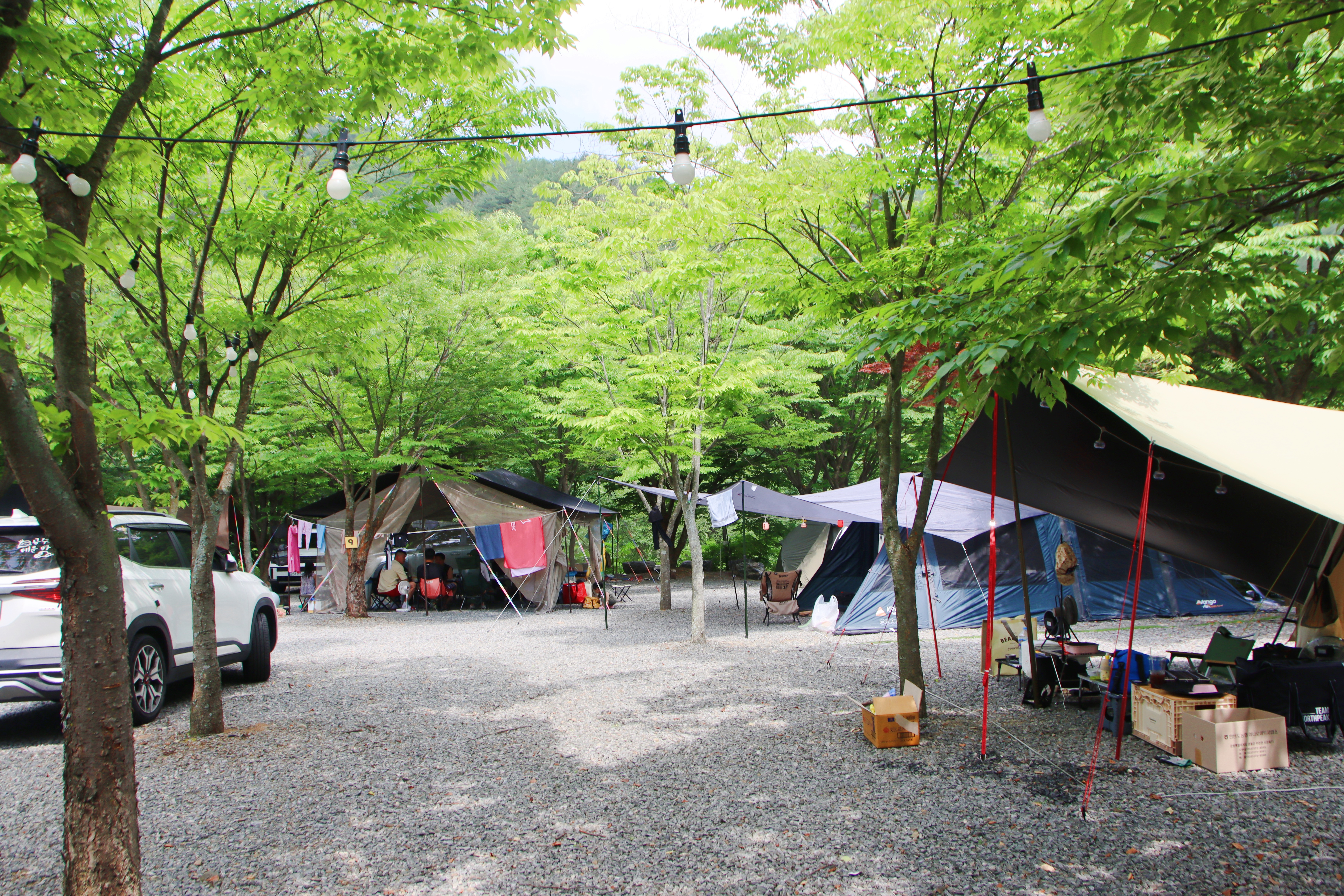 지구별캠프 이미지