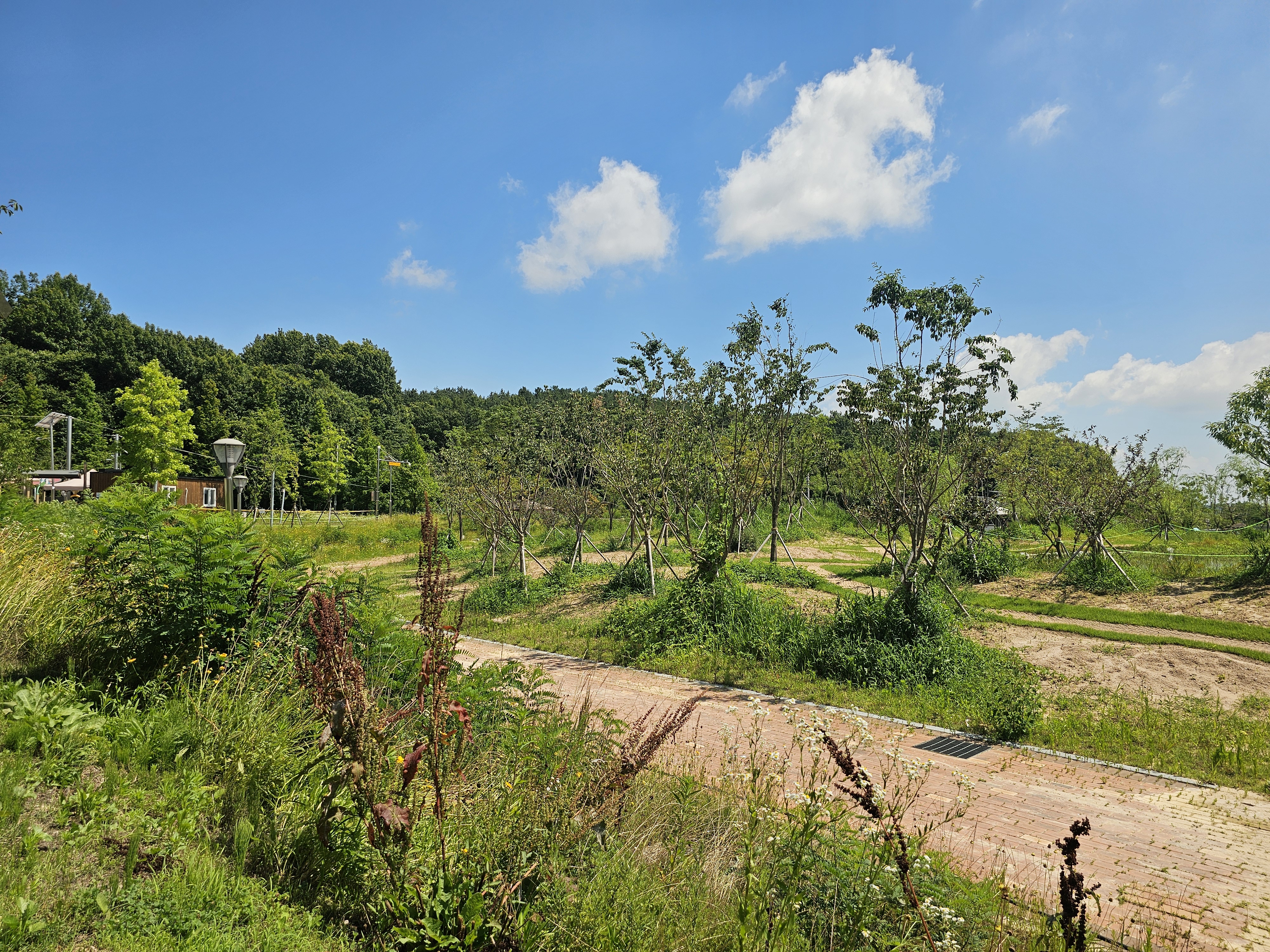 에코캠핑장 20번째 이미지