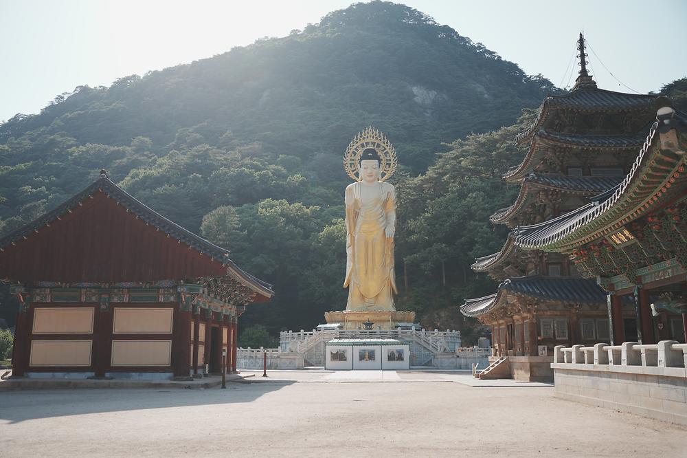 고릴라캠핑 in 속리산