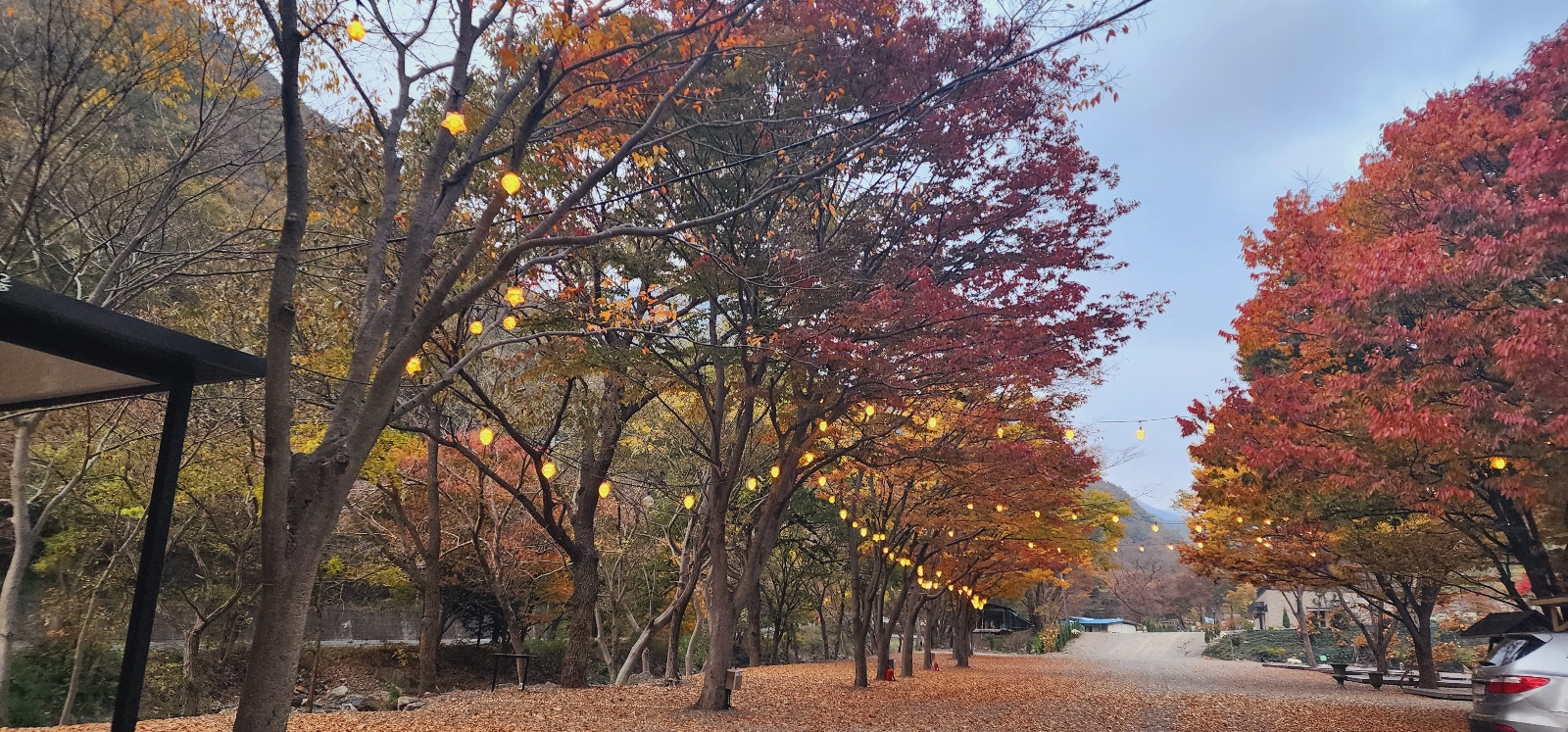 이안힐링랜드 3번째 이미지