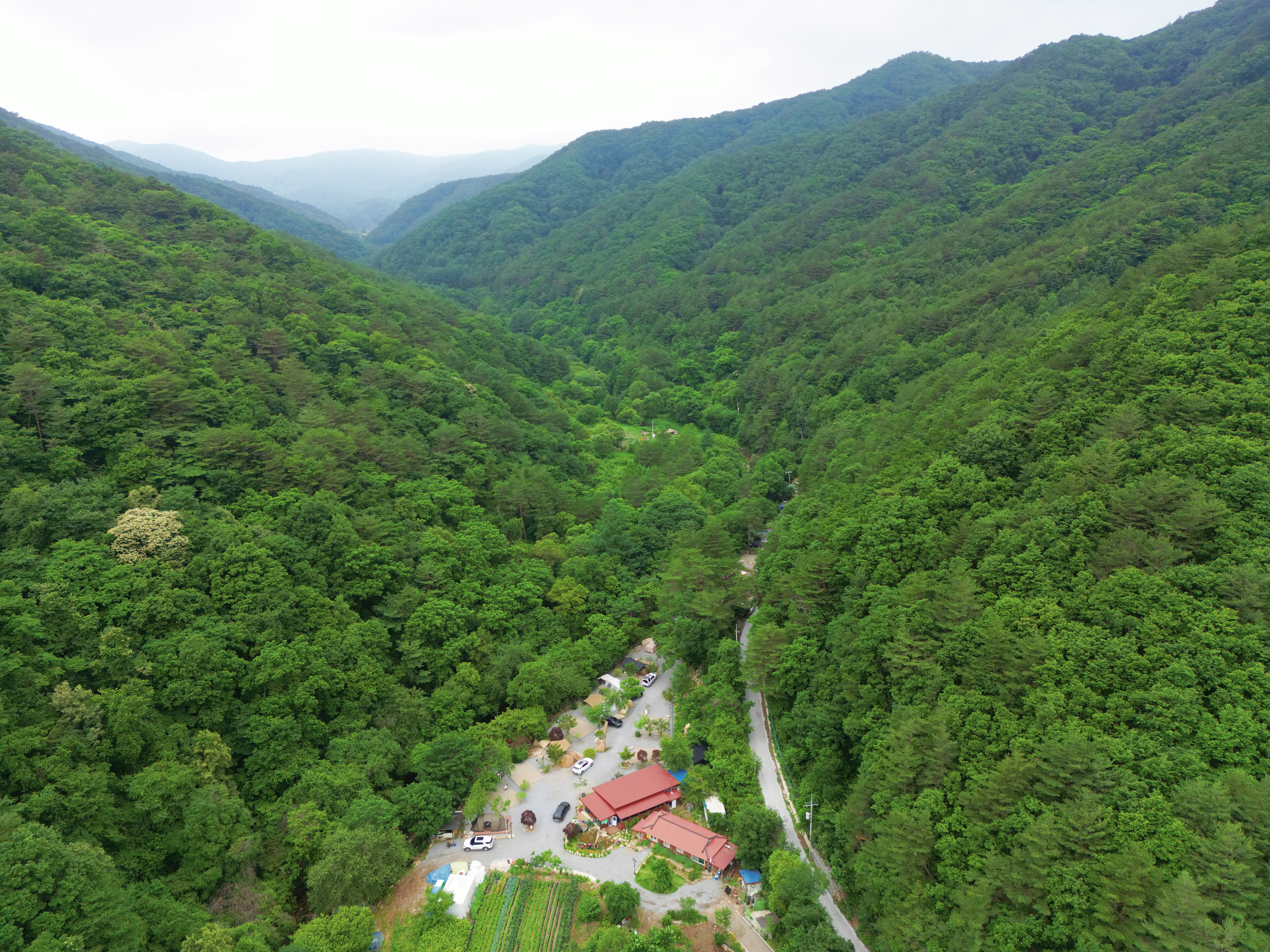 유포리아 캠핑장 이미지