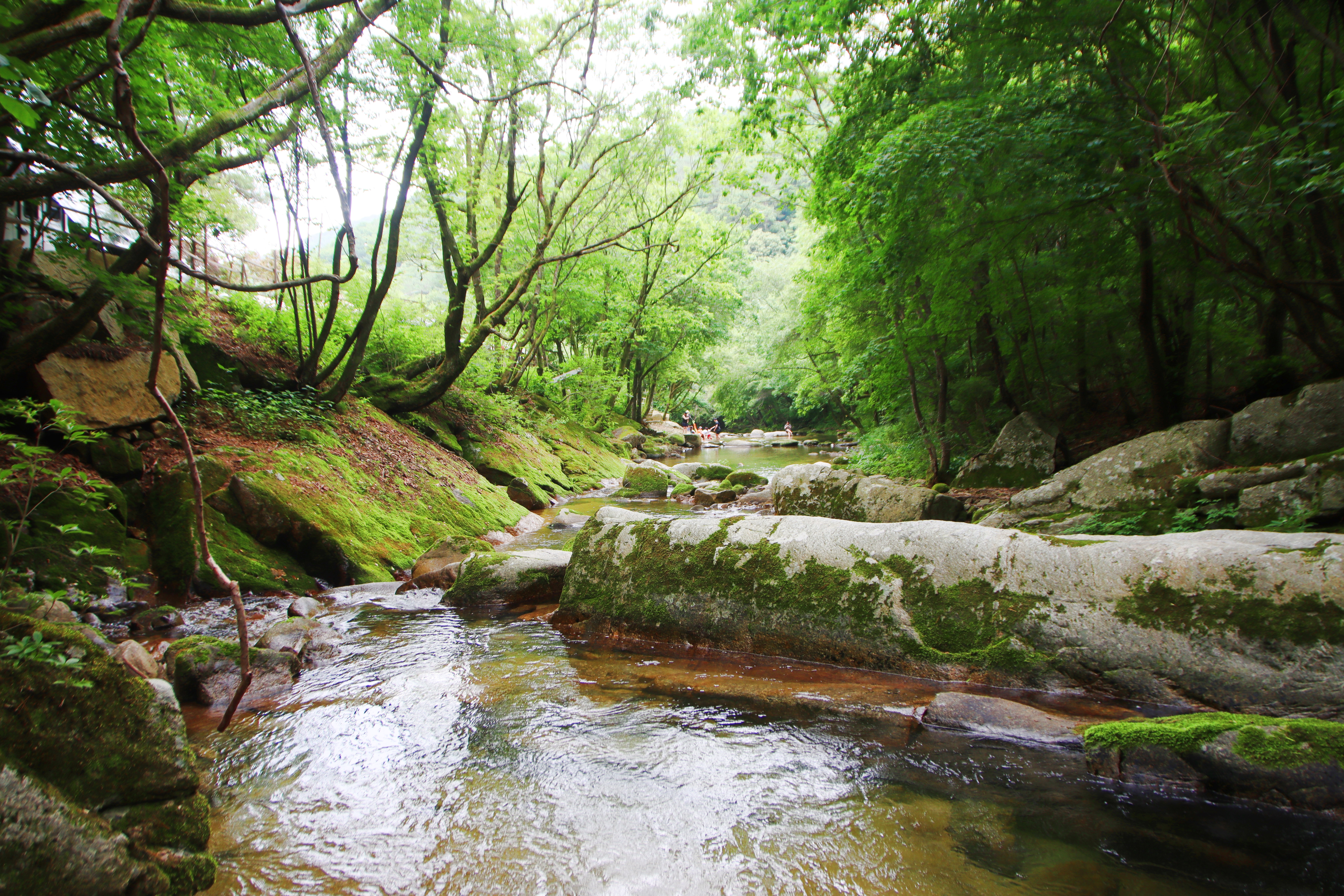 유포리아 캠핑장 이미지