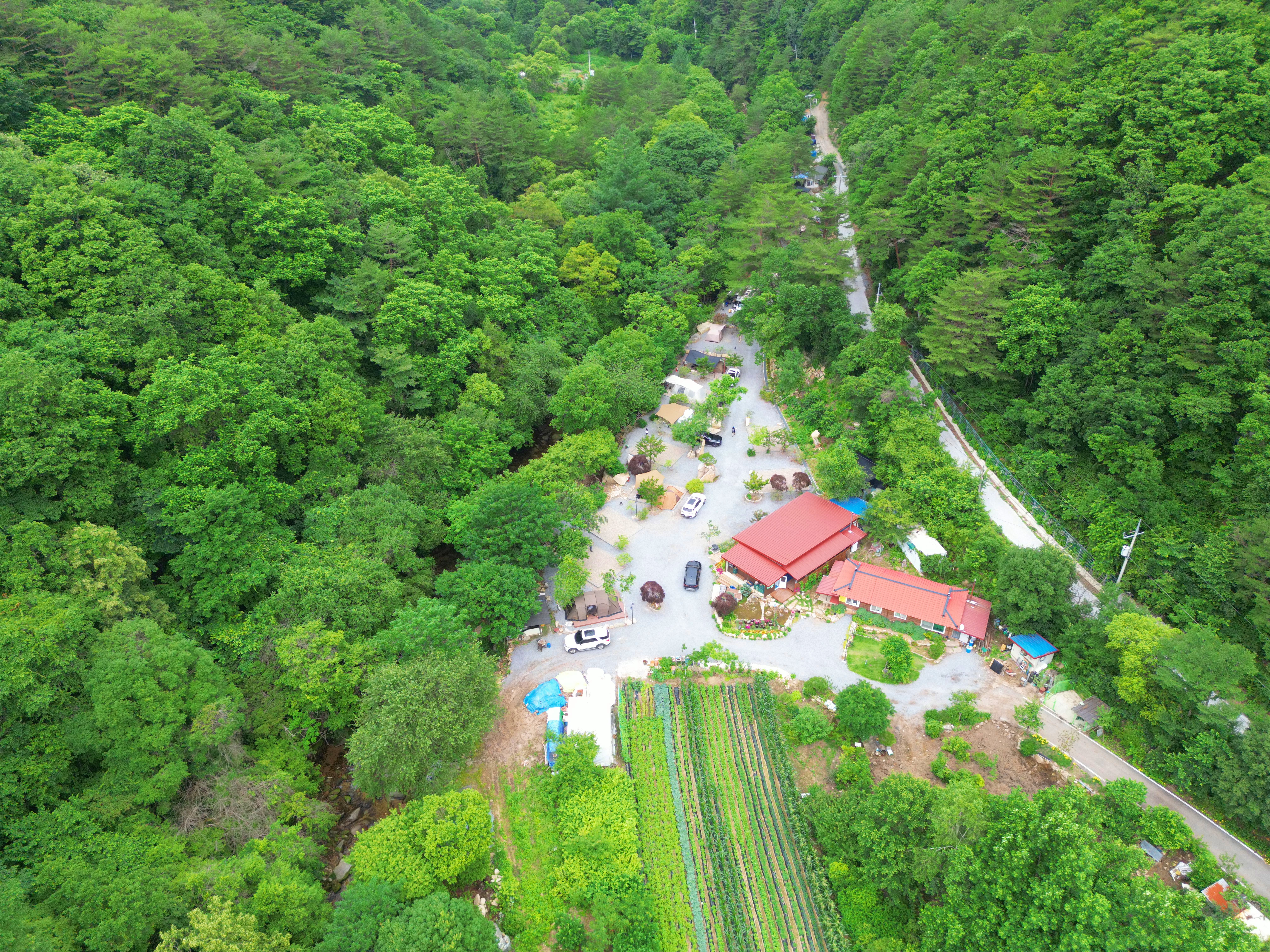 유포리아 캠핑장 이미지