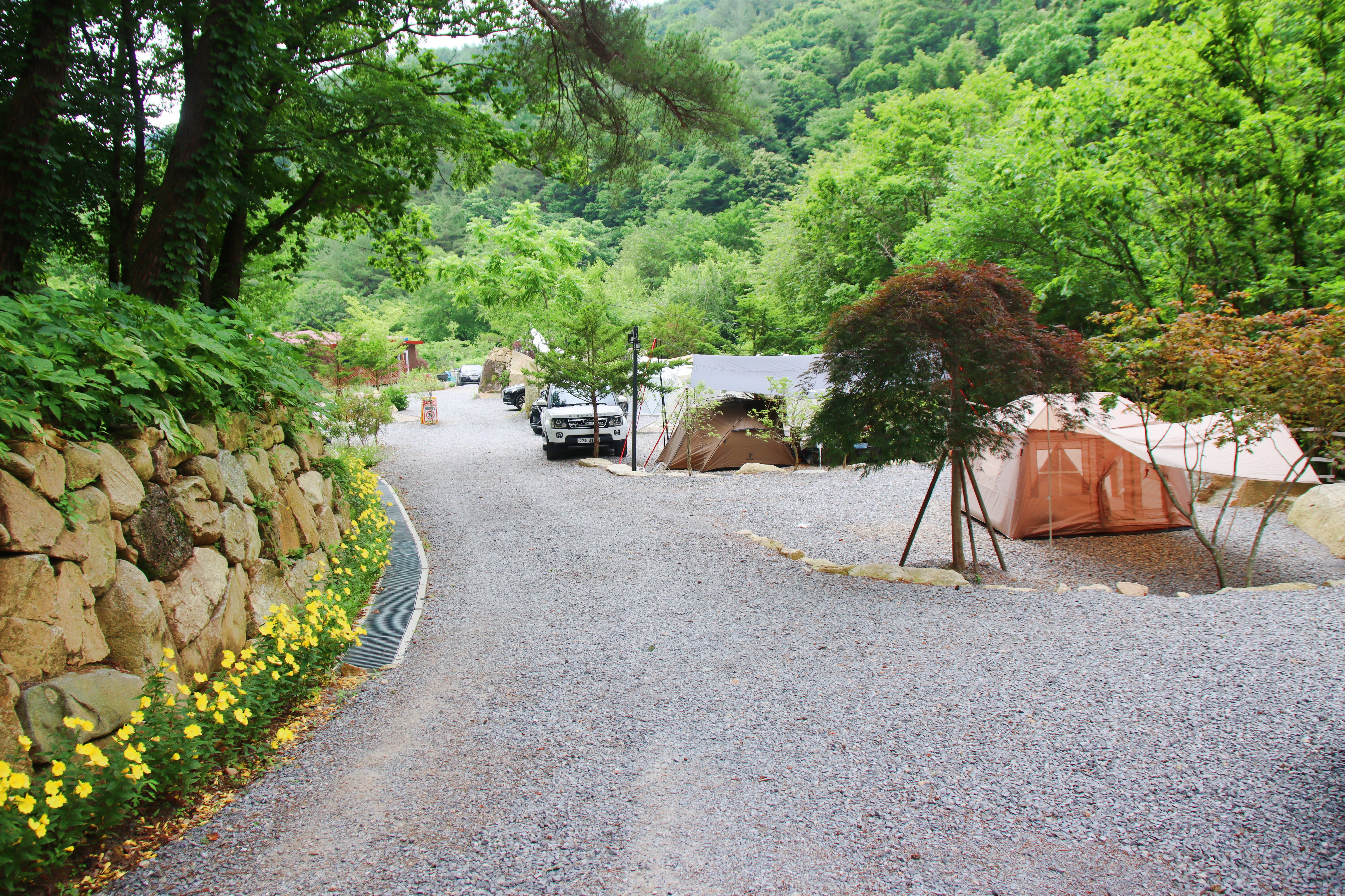 유포리아 캠핑장 이미지
